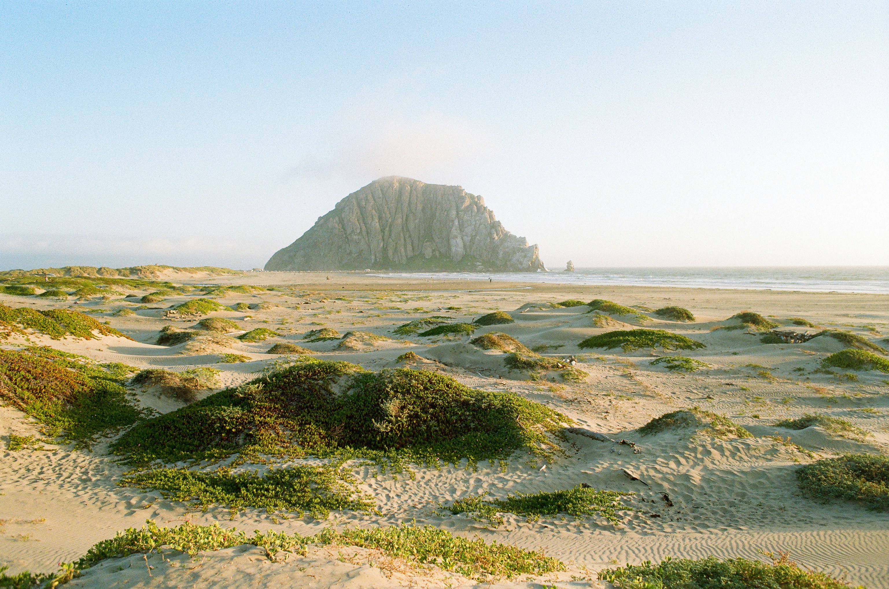A large rock formation on a sandy beach with low dunes and vegetation
