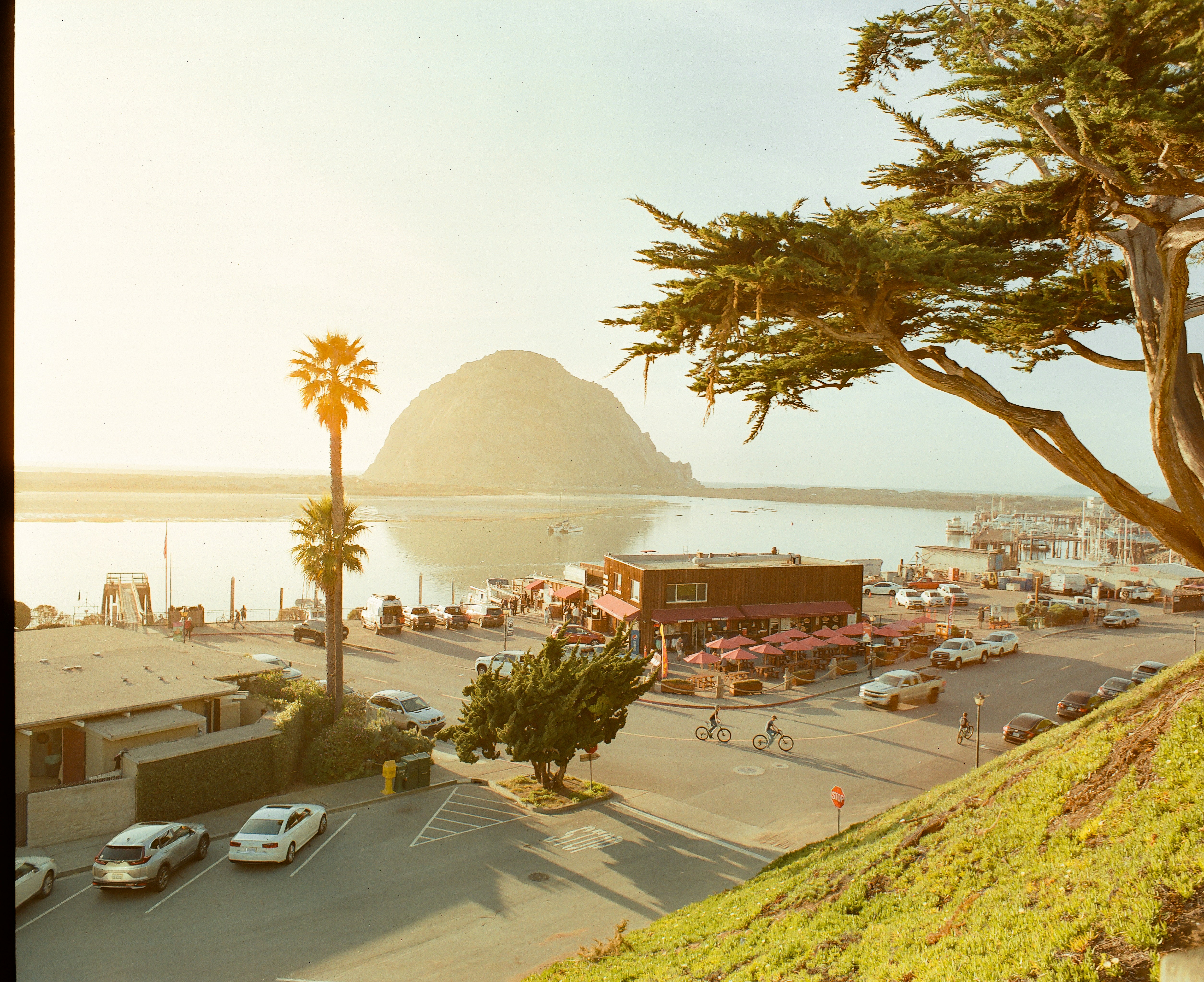 Morro Rock rising above a coastal harbor with palm trees and a restaurant