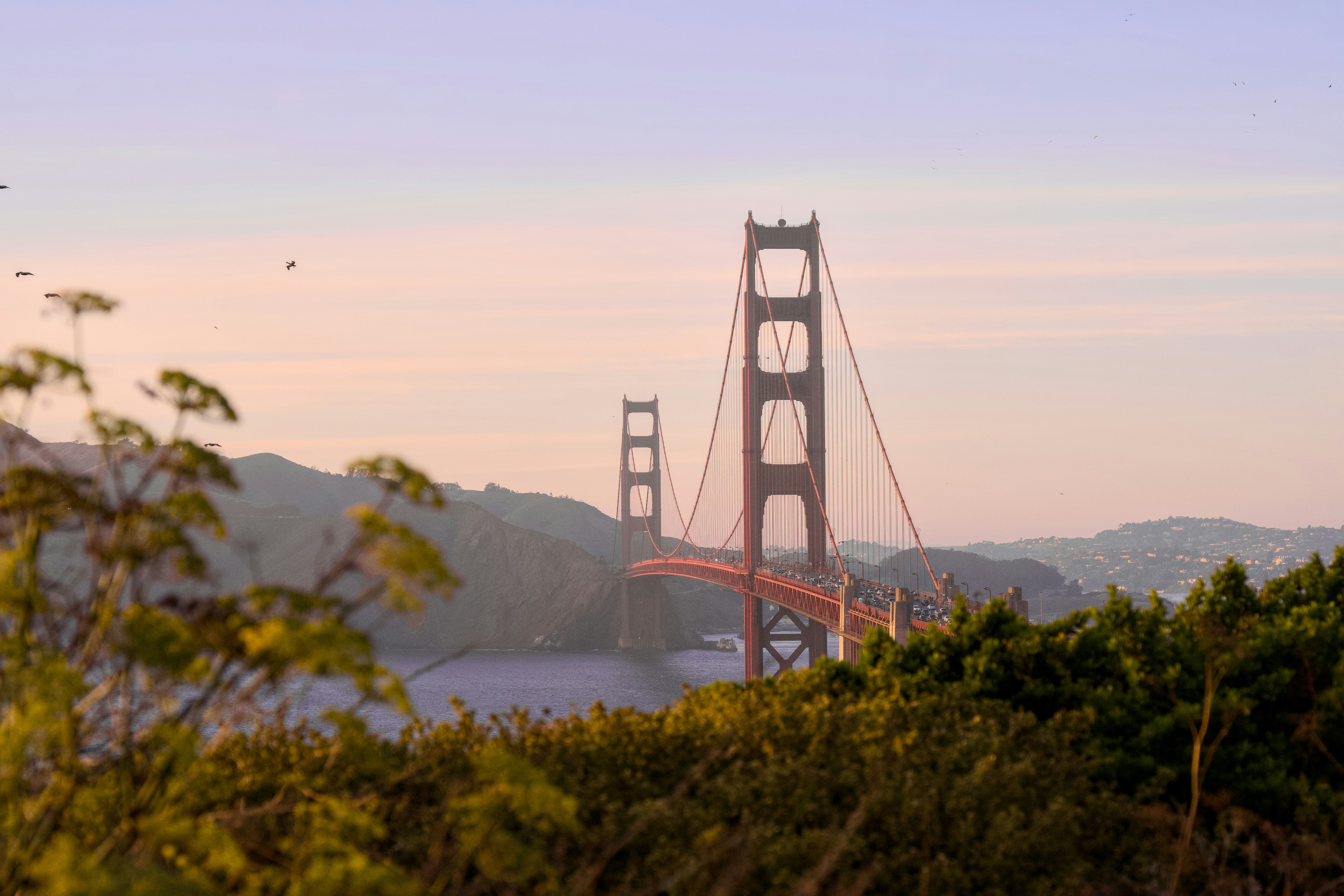 The Golden Gate Bridge in San Francisco under a soft pastel sky