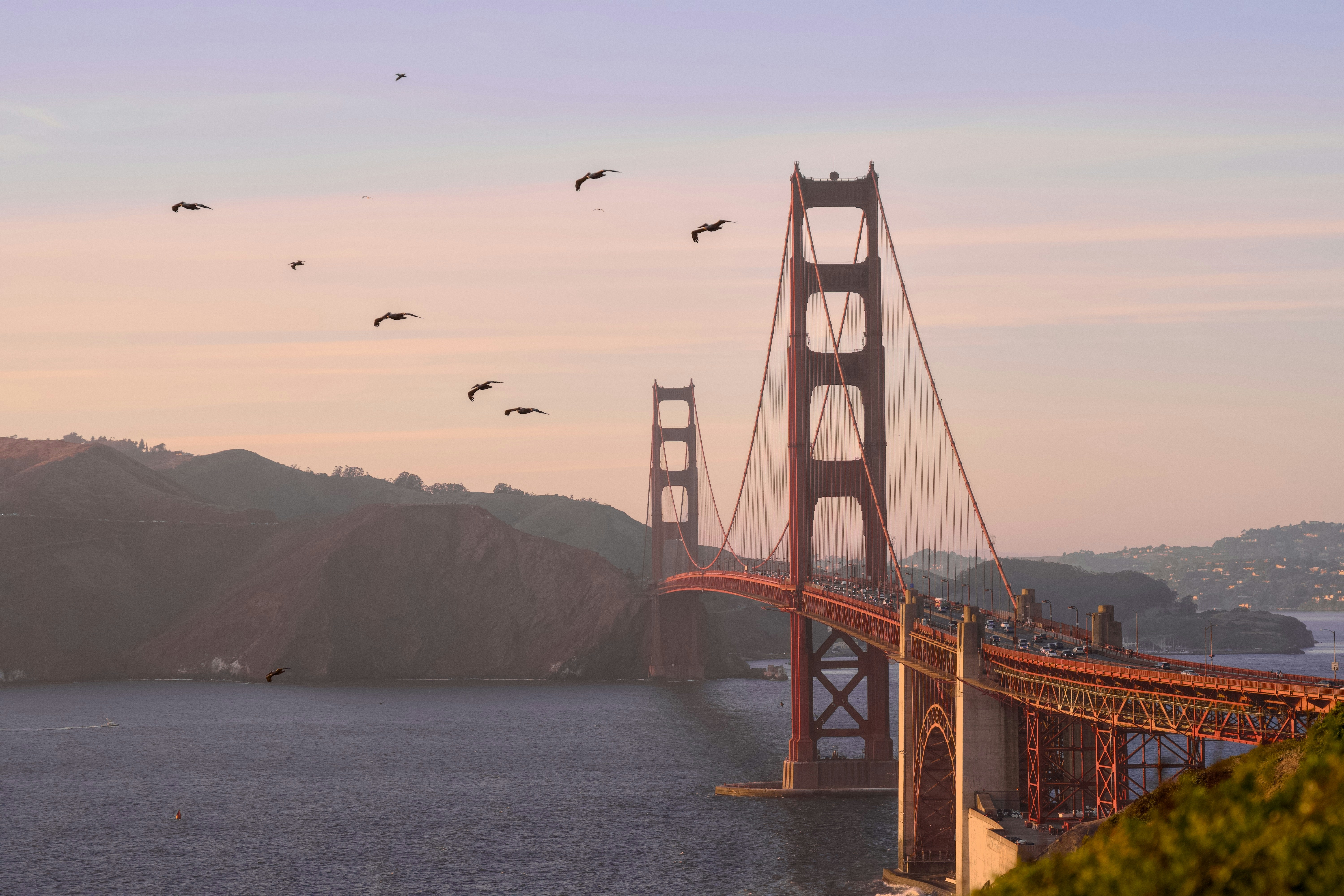 The Golden Gate Bridge in San Francisco with birds flying over the water