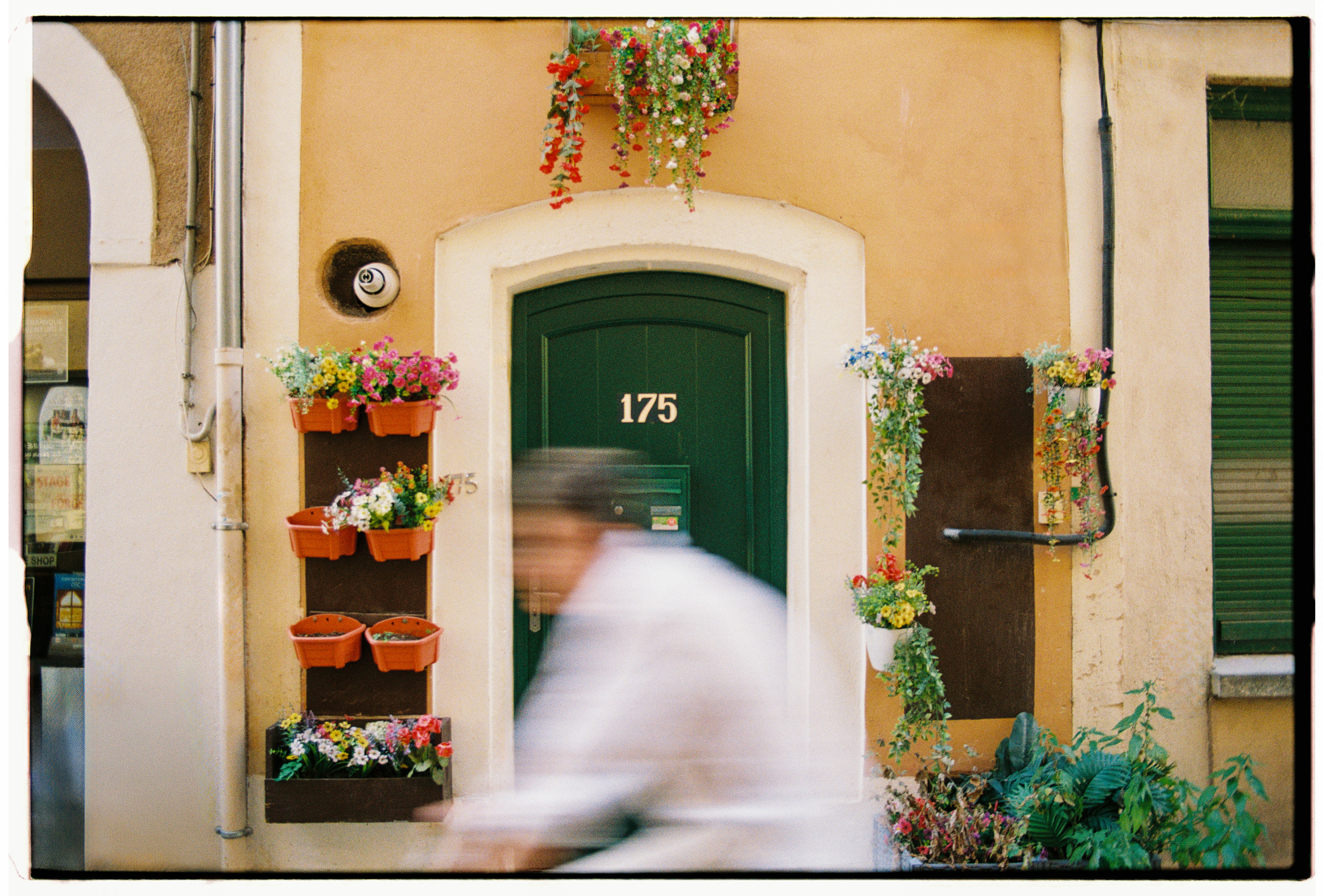 A person in motion passing a green door with flowers in pots