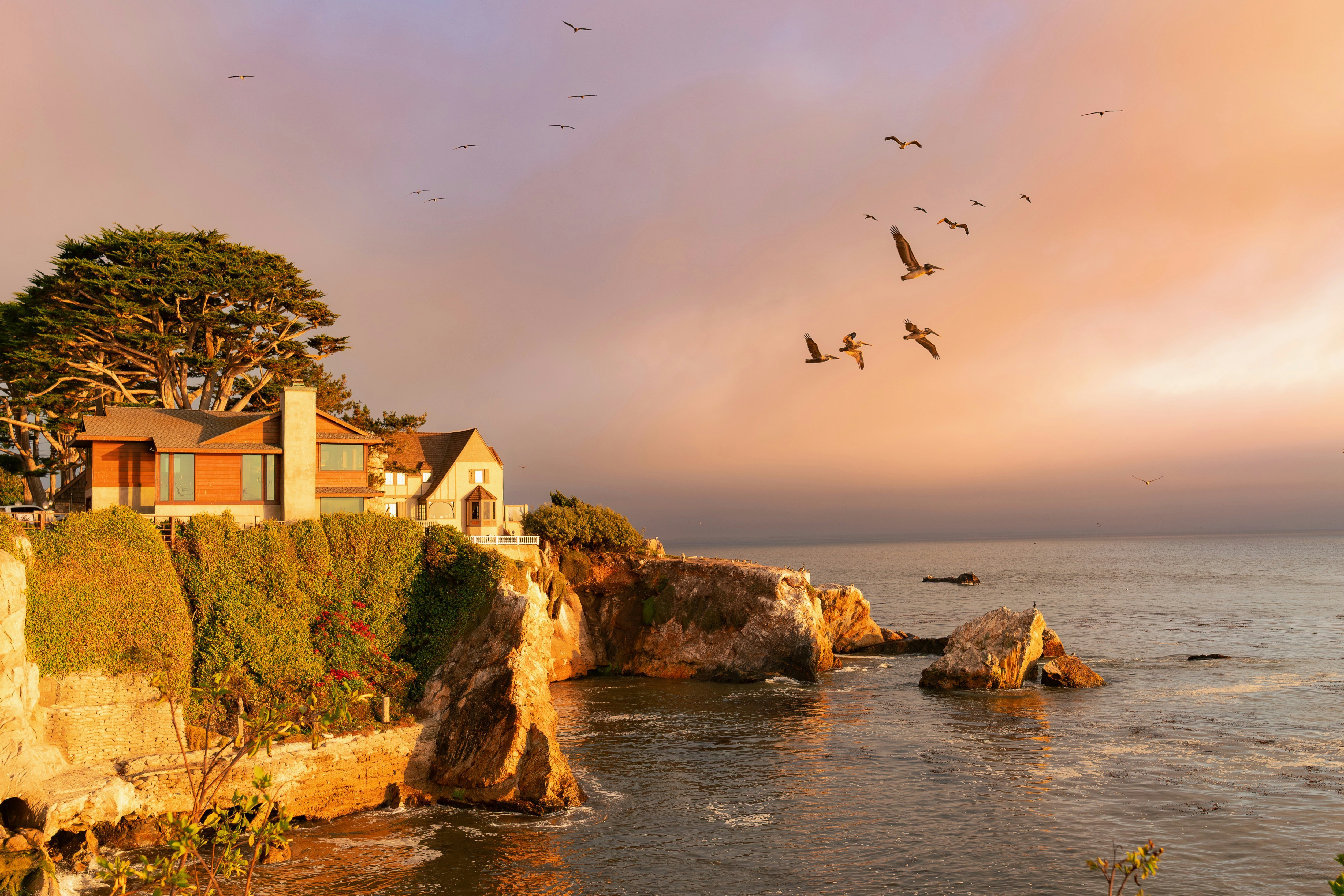 A house on a cliff above the ocean with birds flying in golden light