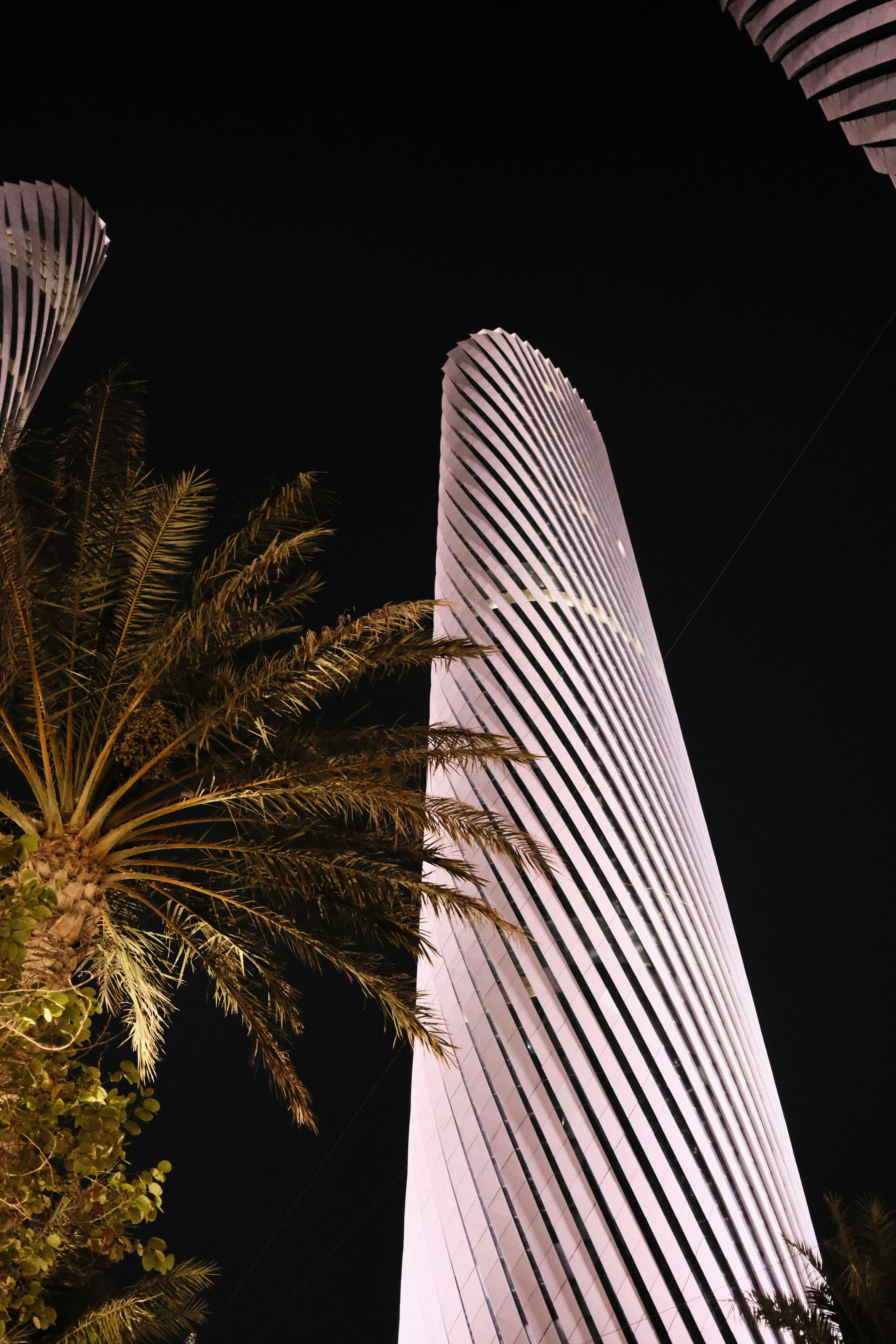 A tall spiraling skyscraper illuminated at night beside a palm tree