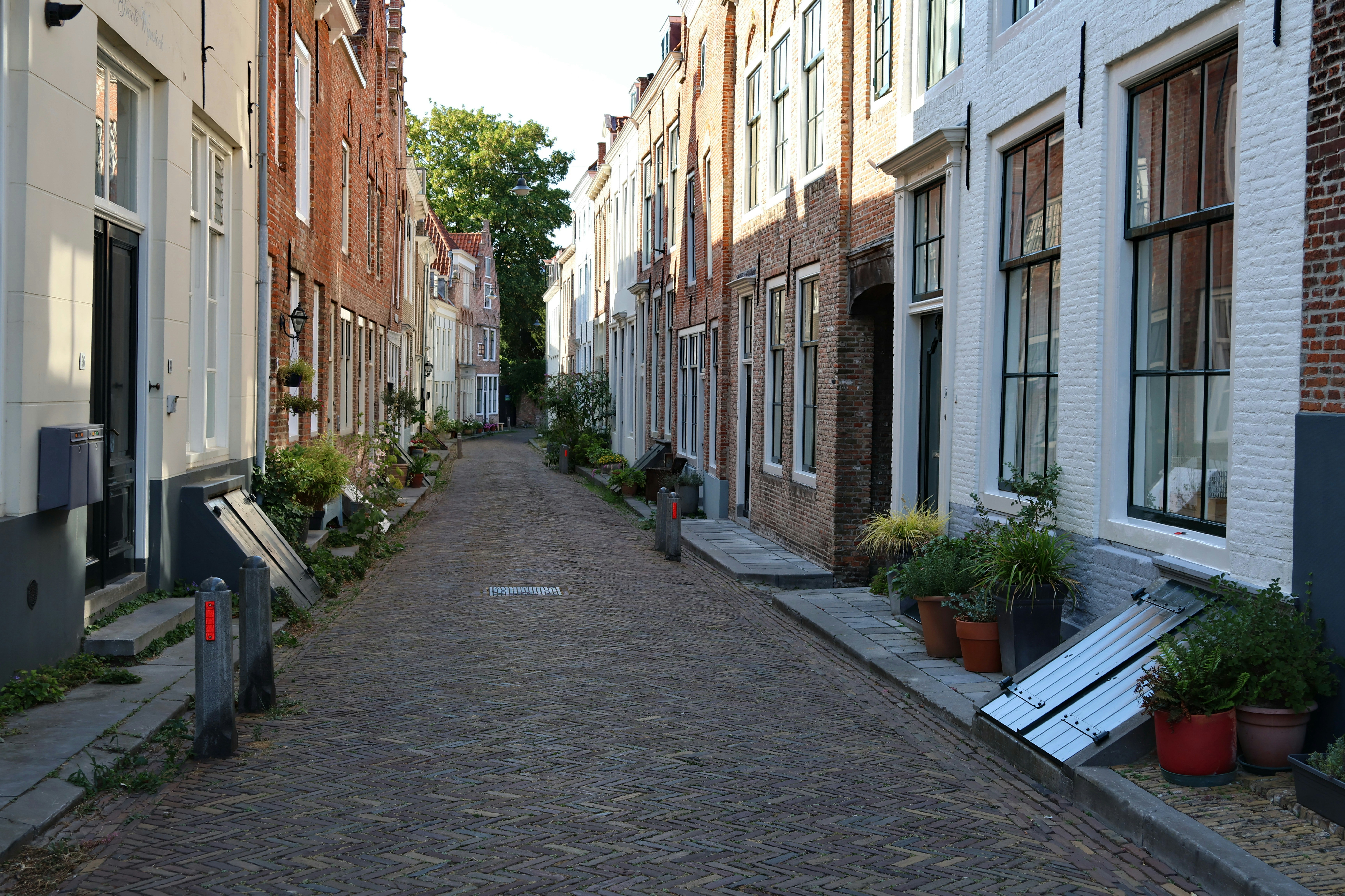 A narrow cobblestone street lined with historic brick houses and potted plants