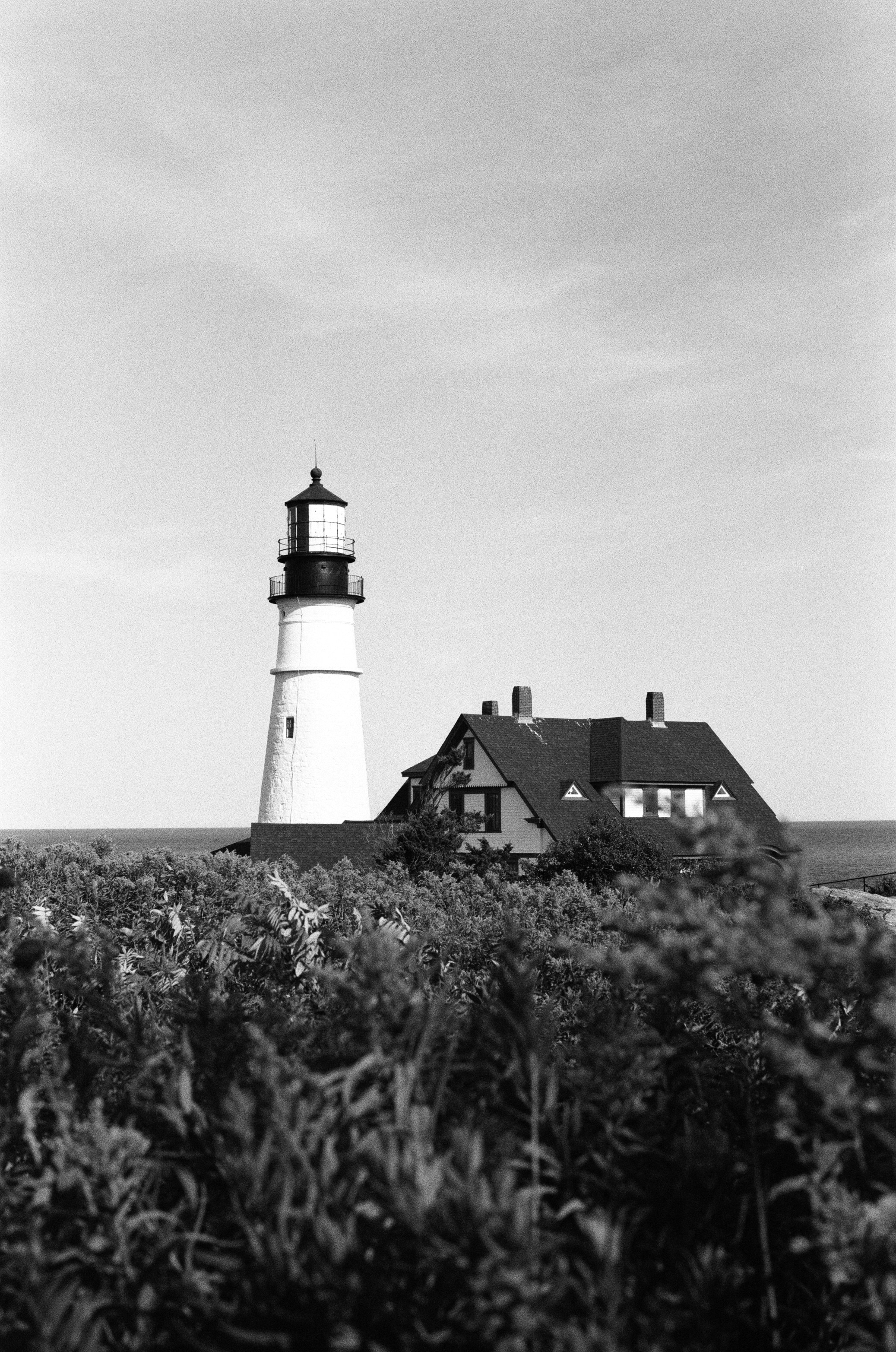 A white lighthouse and keeper house behind dense coastal brush by the ocean