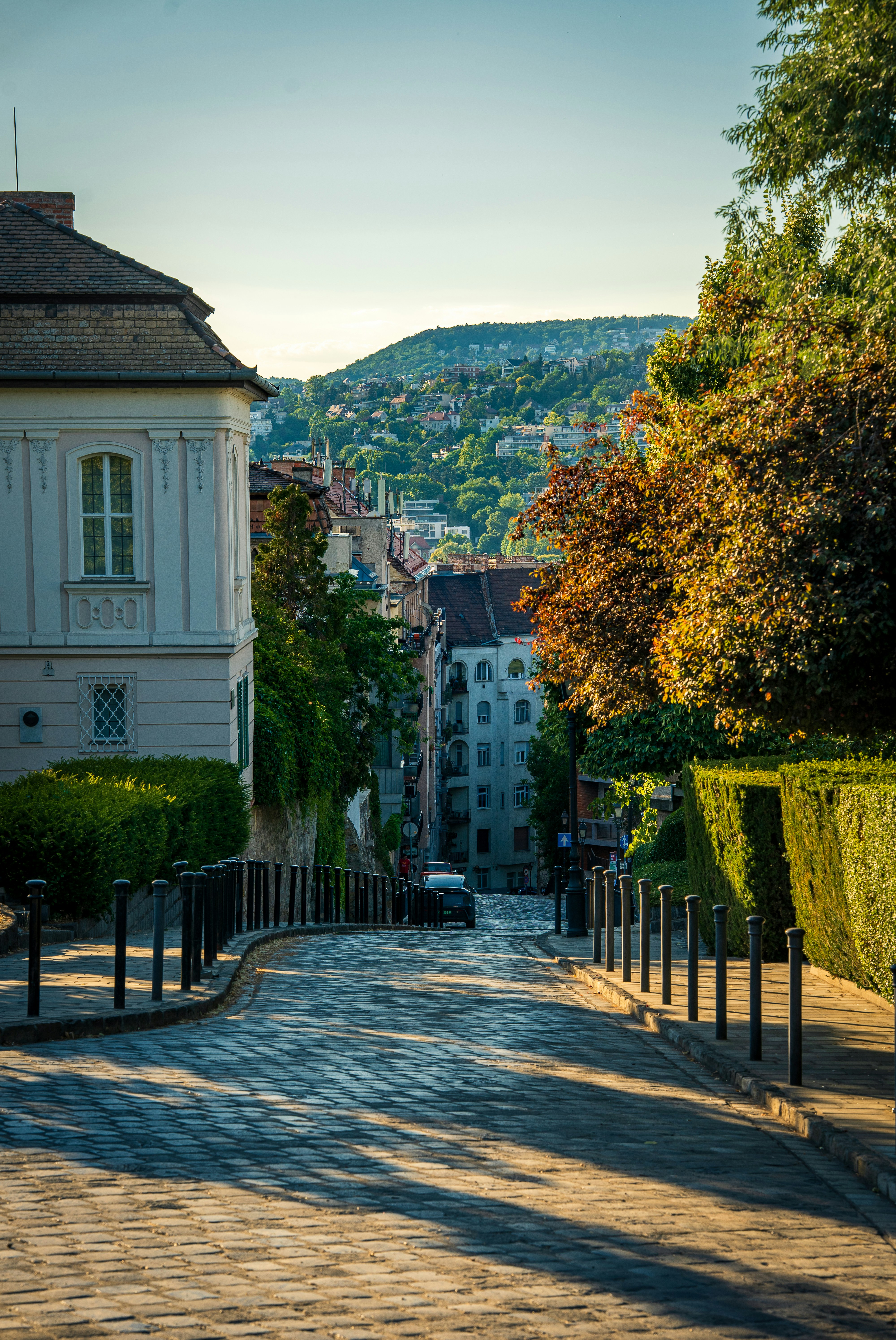 A cobblestone street sloping downhill between historic buildings and manicured hedges in Budapest