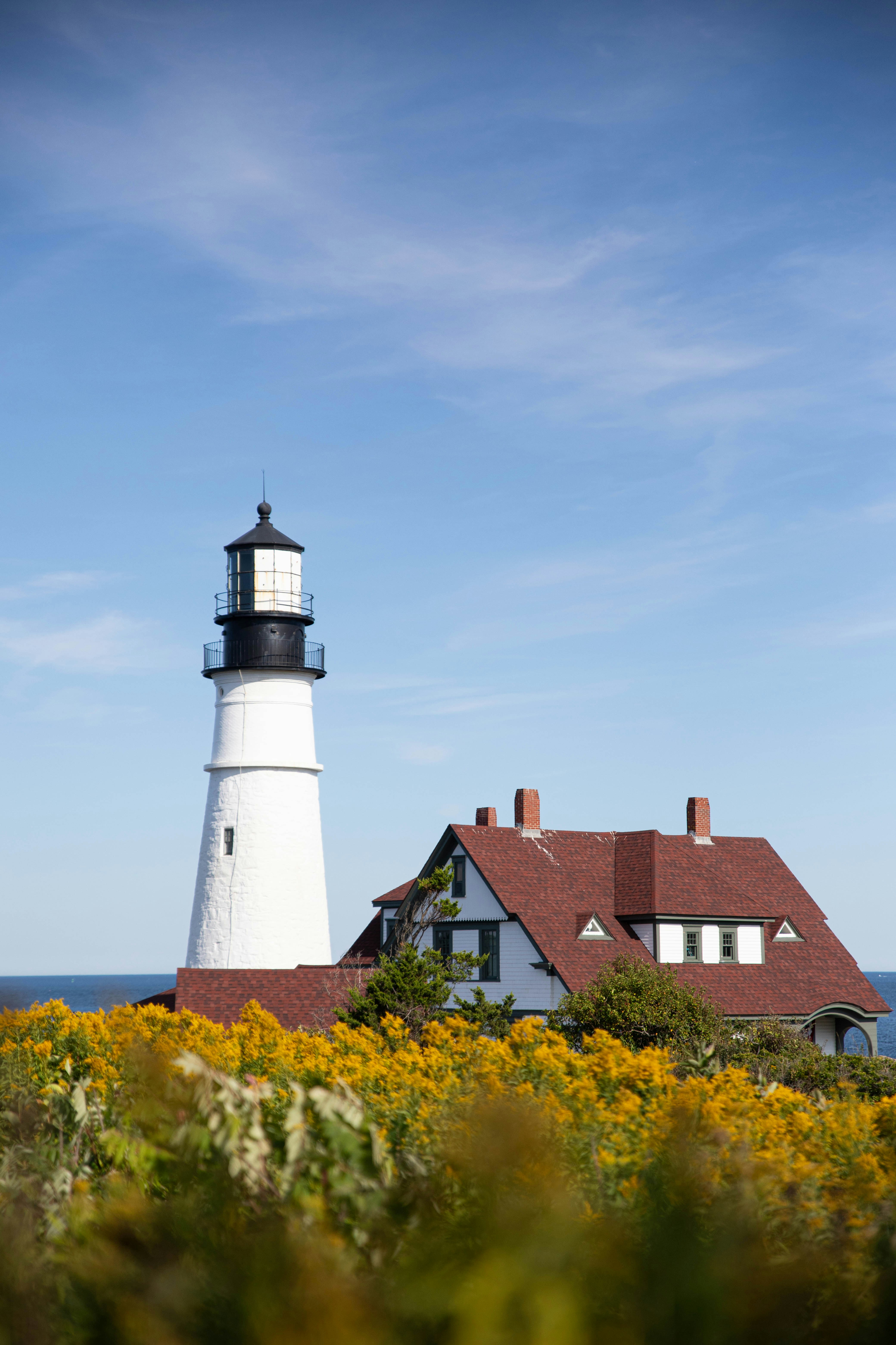 A white lighthouse and a house with a red roof behind yellow wildflowers