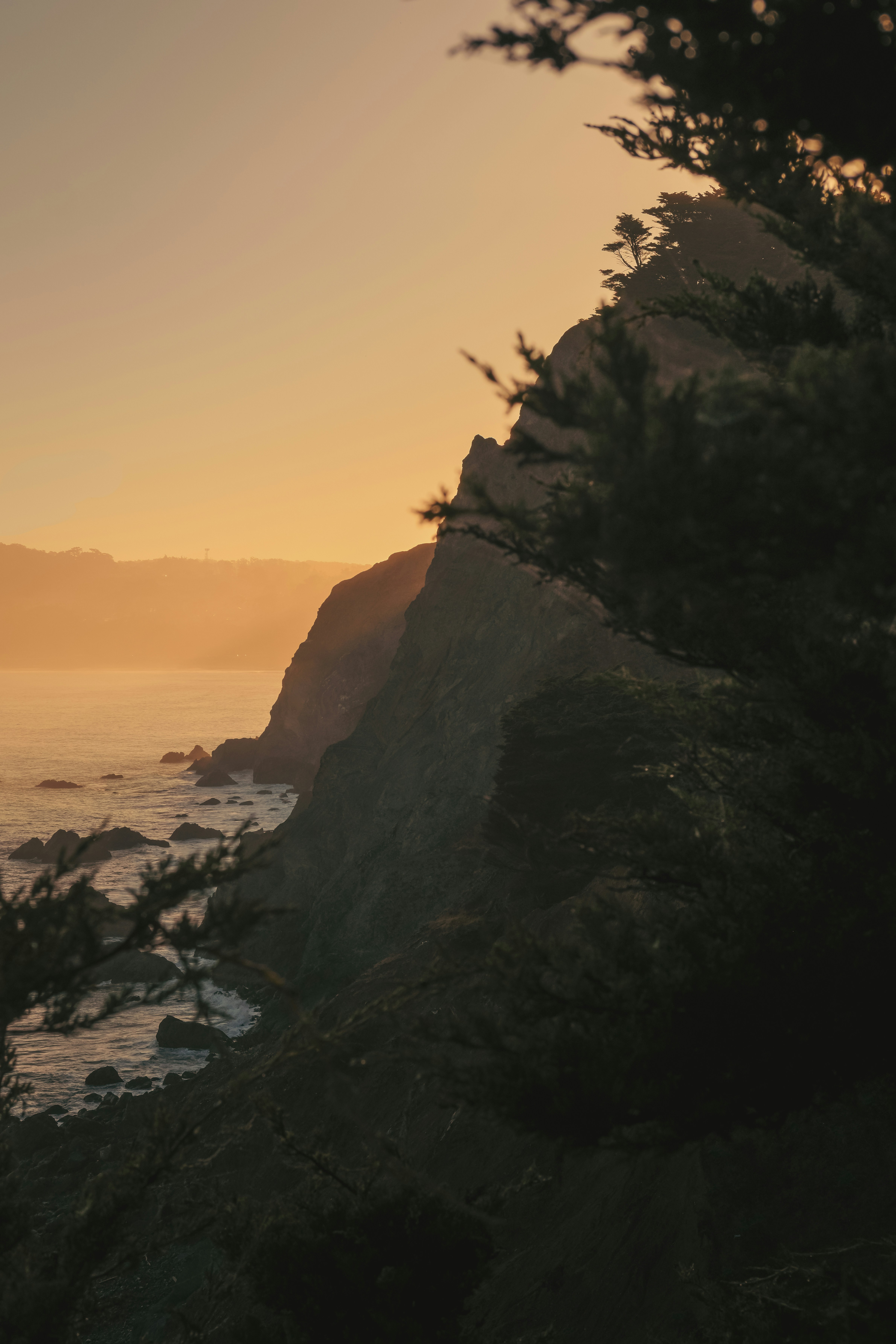 A rocky cliff overlooking the Pacific Ocean in San Francisco during golden hour