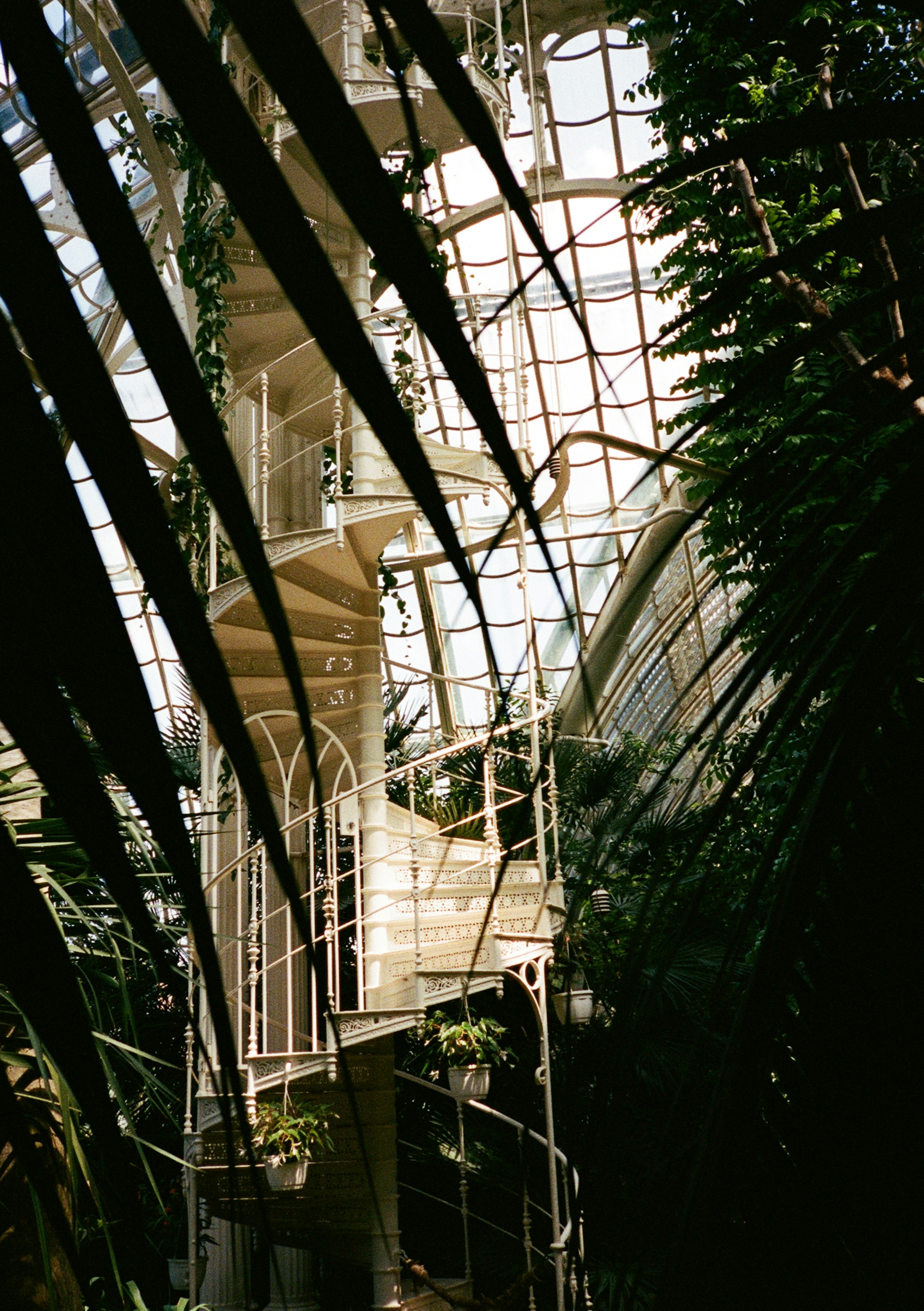 A white spiral staircase inside the glass Palm House in Vienna, Austria