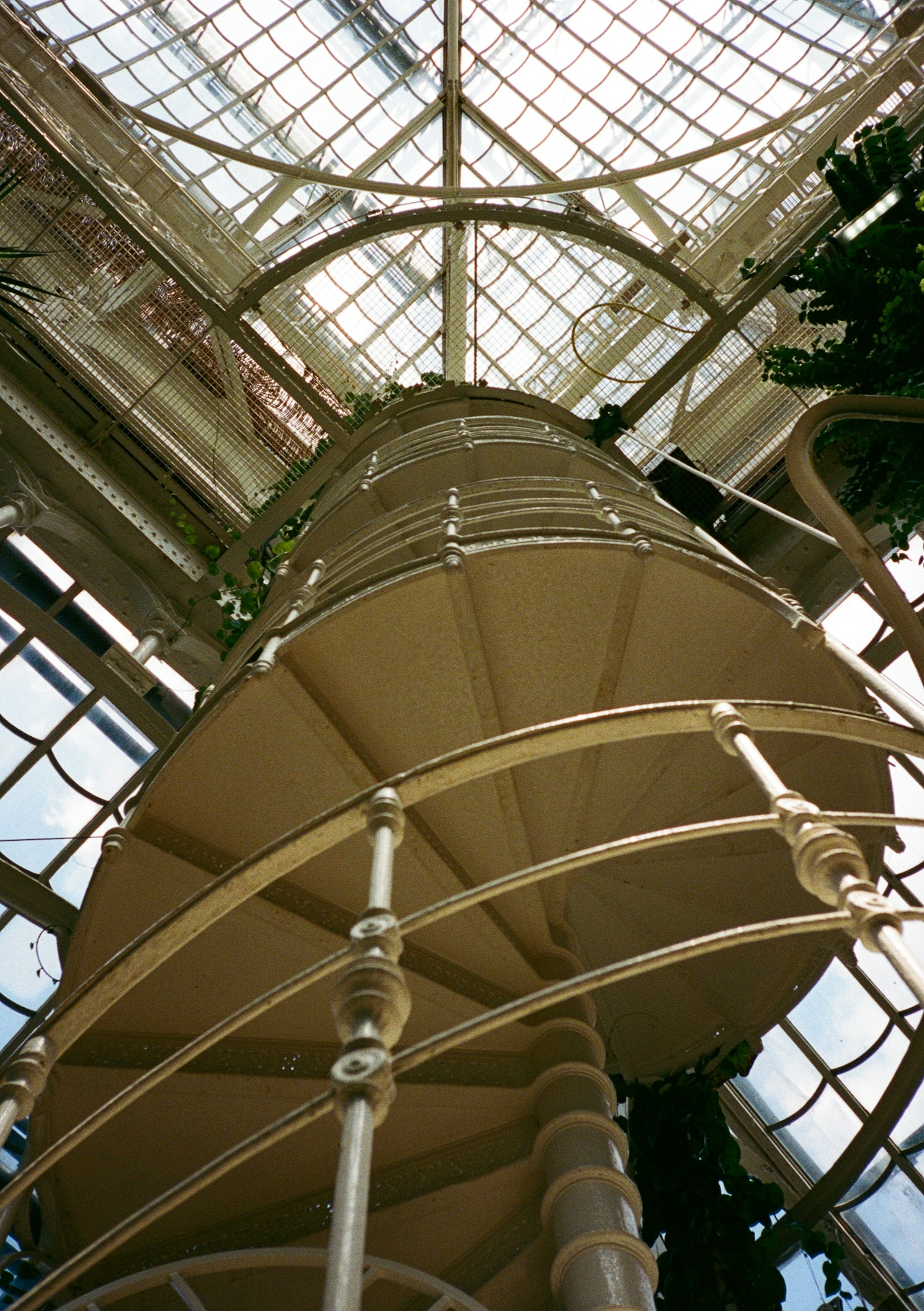 A spiral staircase inside the glass Palm House conservatory in Vienna, Austria