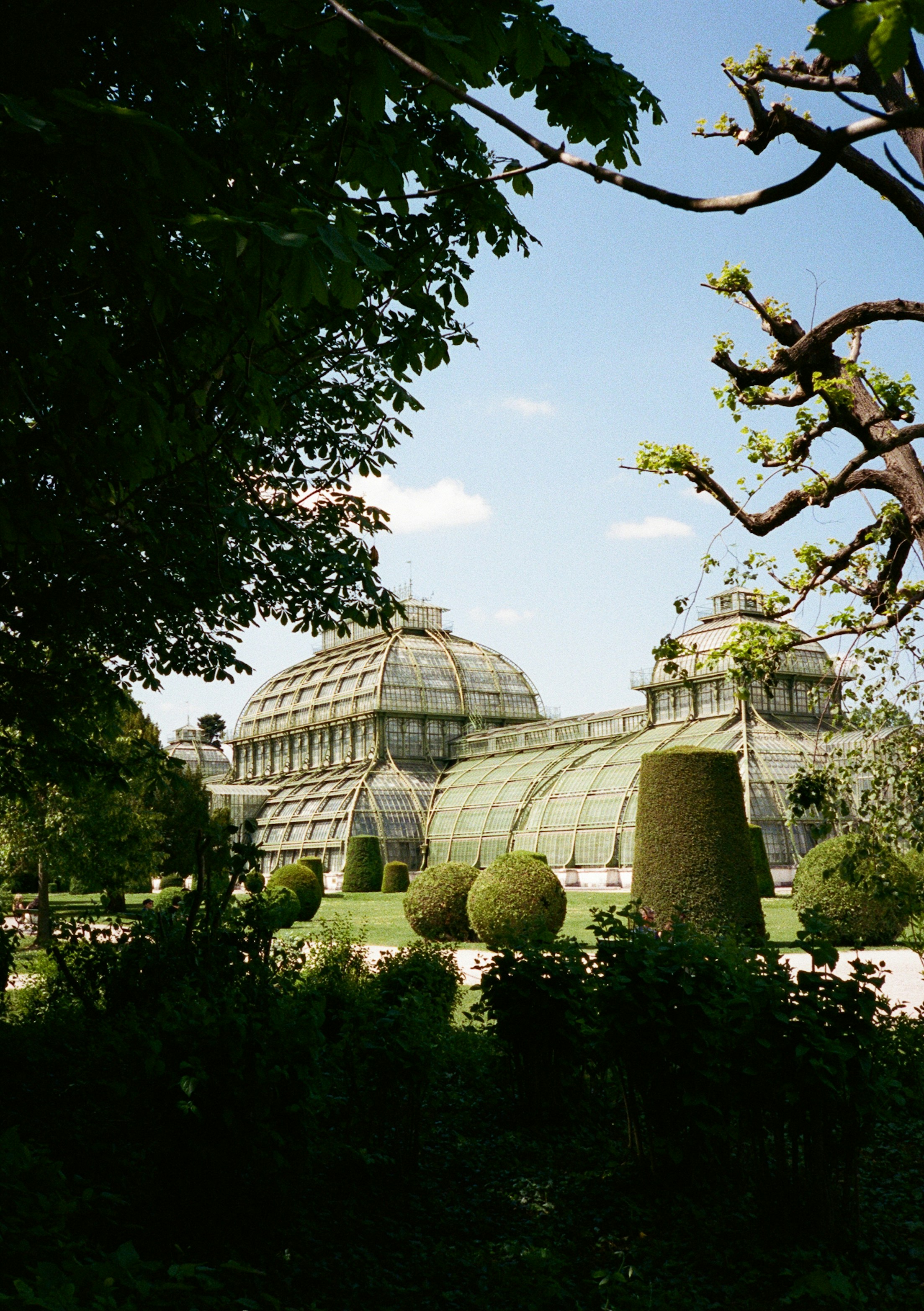 The Palm House glass conservatory in the Burggarten park in Vienna, Austria