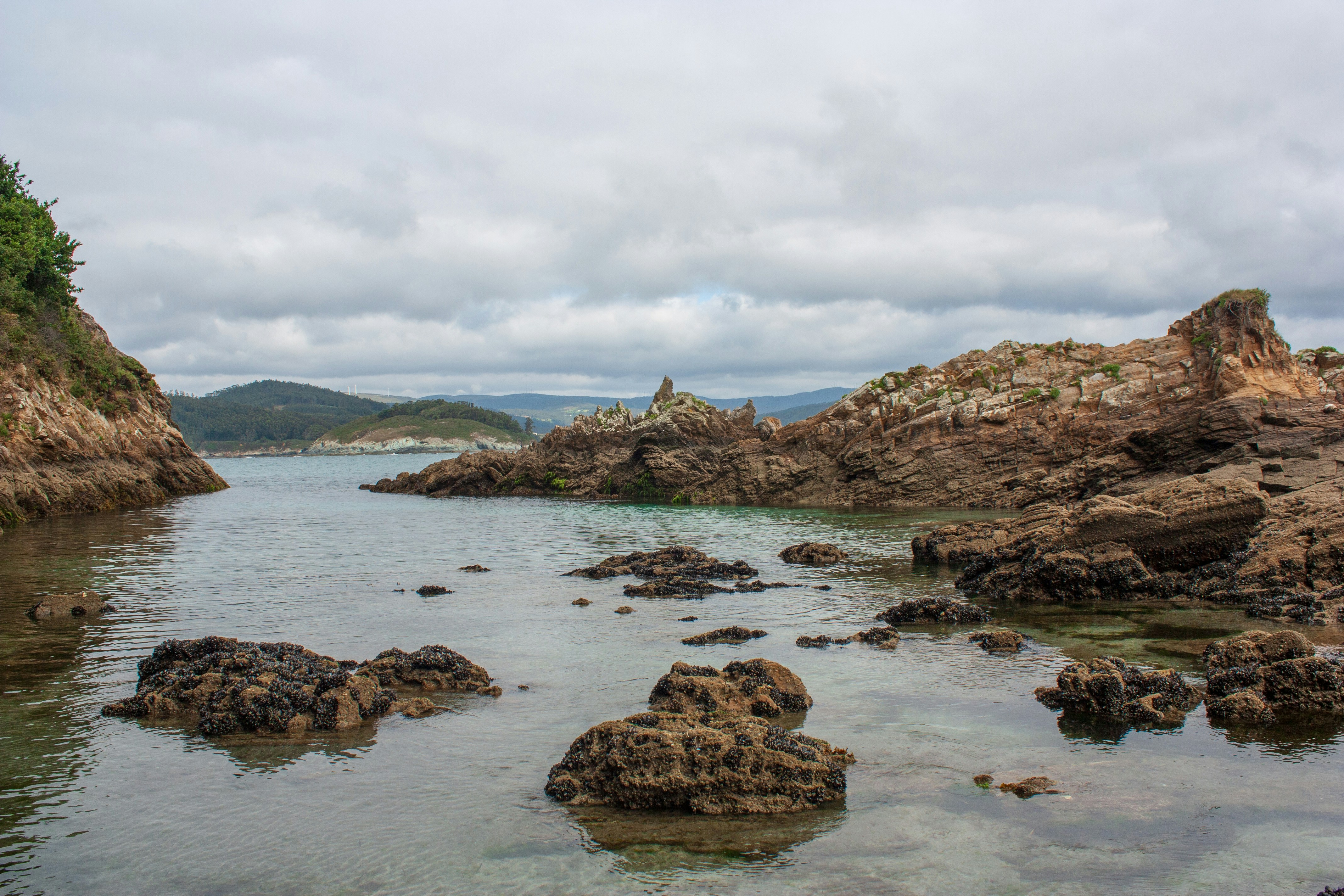 Rocky outcrops and mussel-covered stones in a calm coastal inlet under a cloudy sky