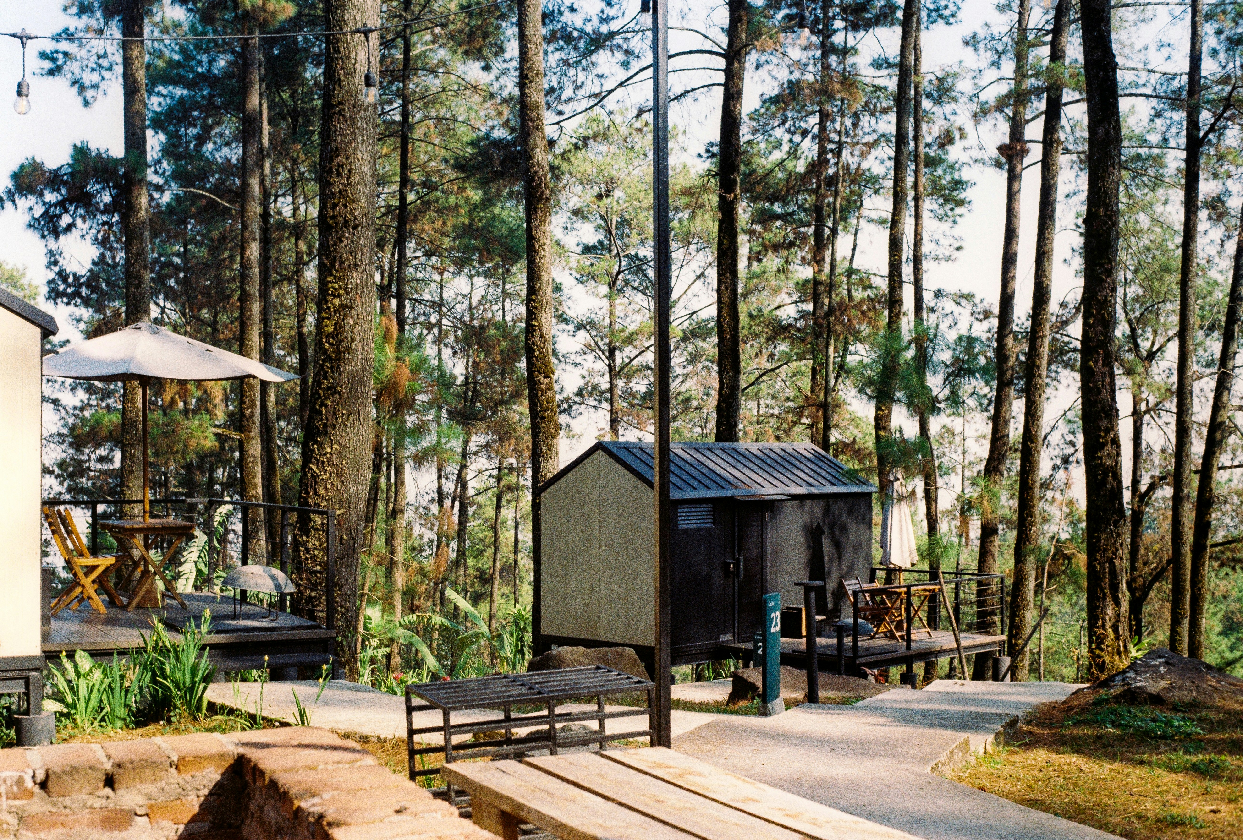 Small cabins on wooden decks nestled among tall pine trees in a forest