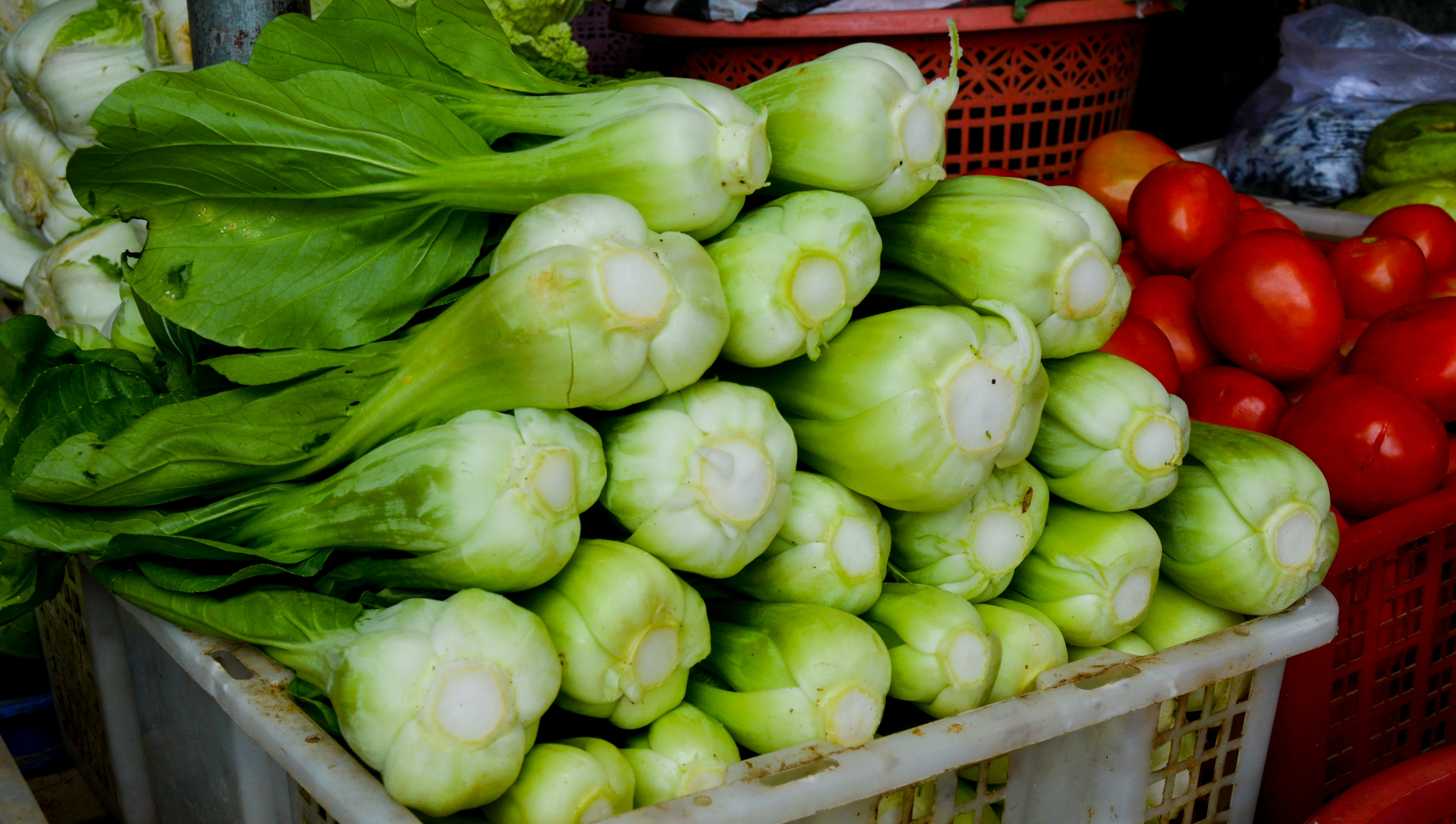 can you juice bok choy