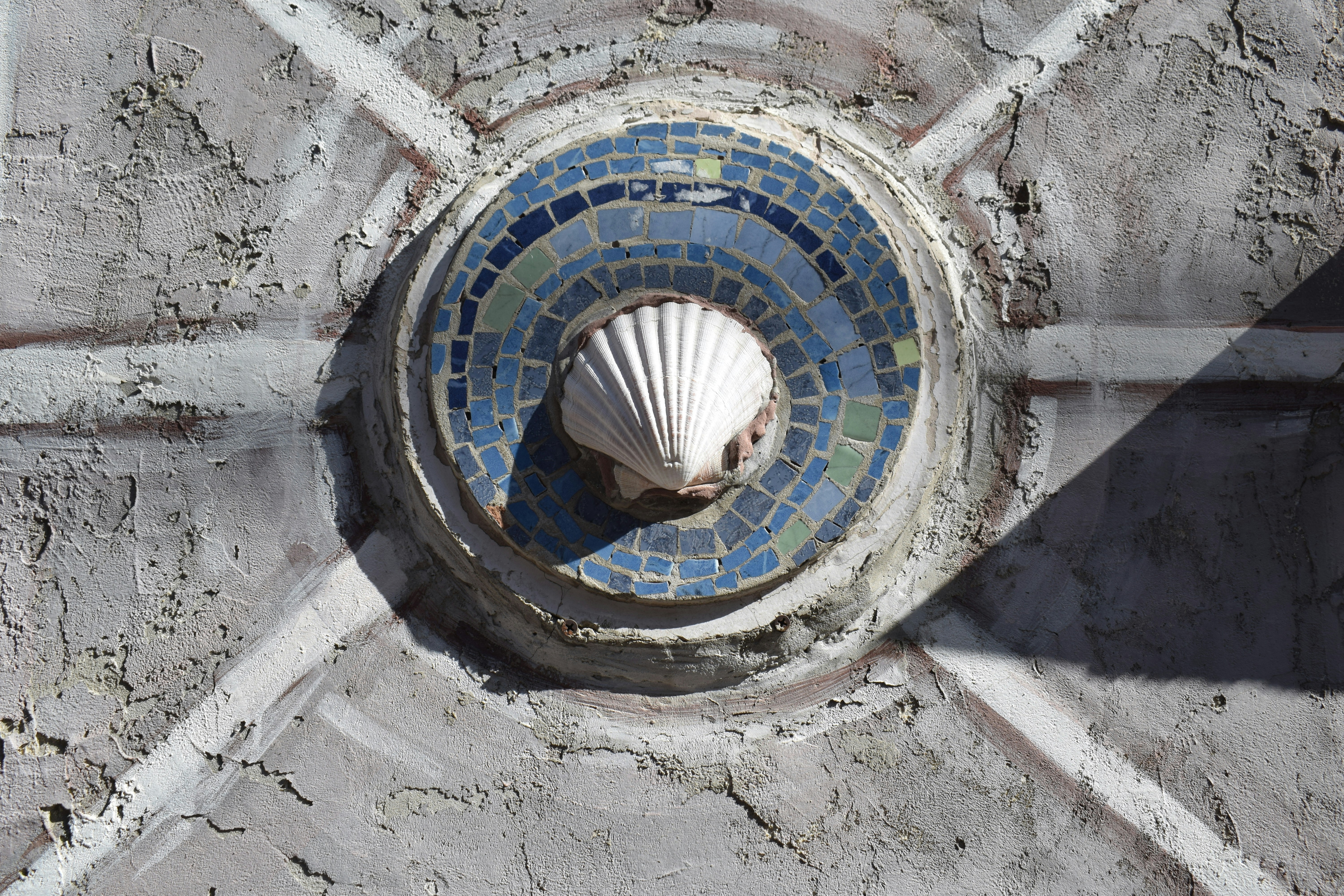 A white seashell centered in a blue mosaic circle on a textured wall