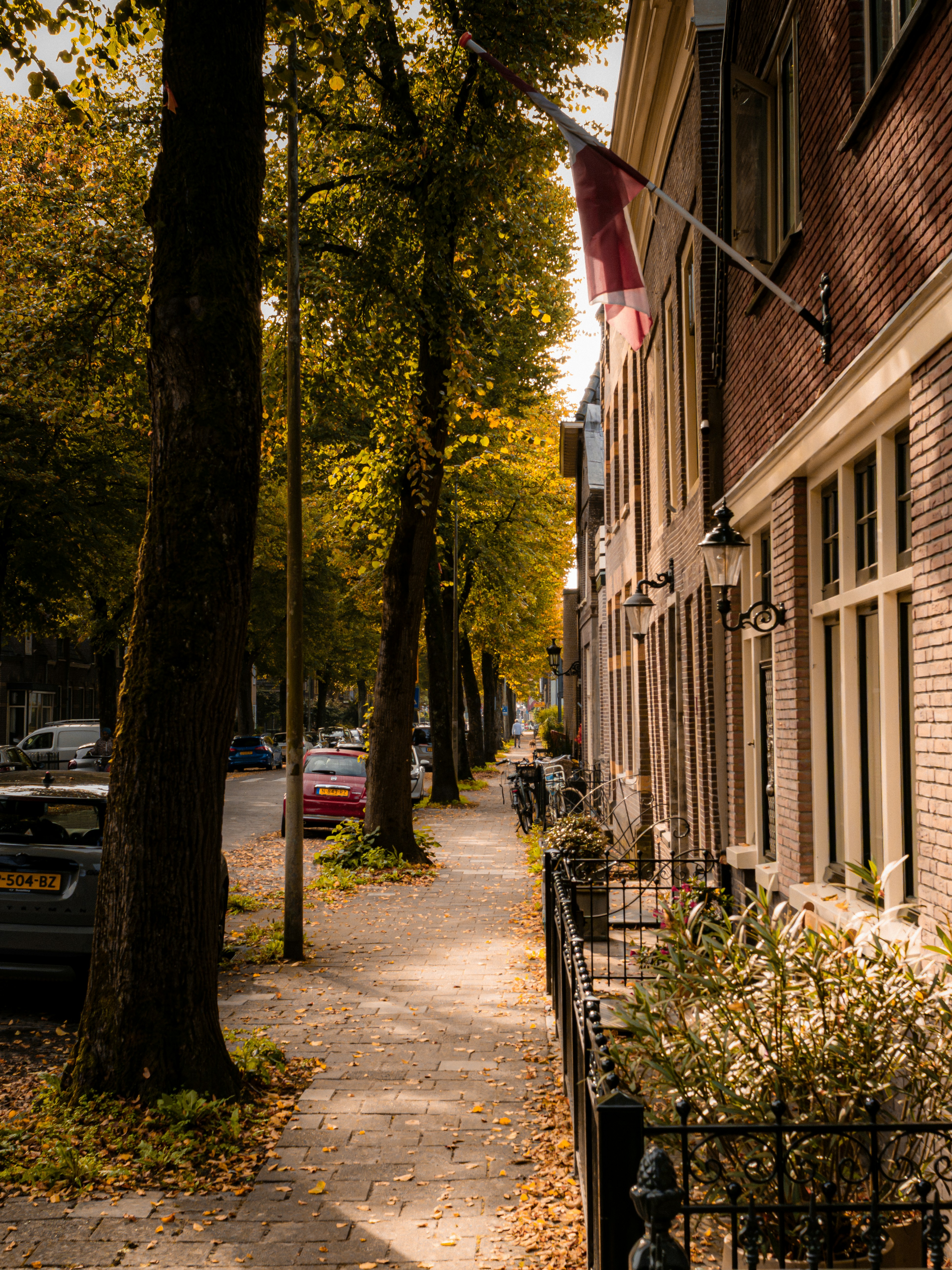 Un trottoir bordé d’arbres avec des feuilles tombées à côté d’un bâtiment en brique en automne