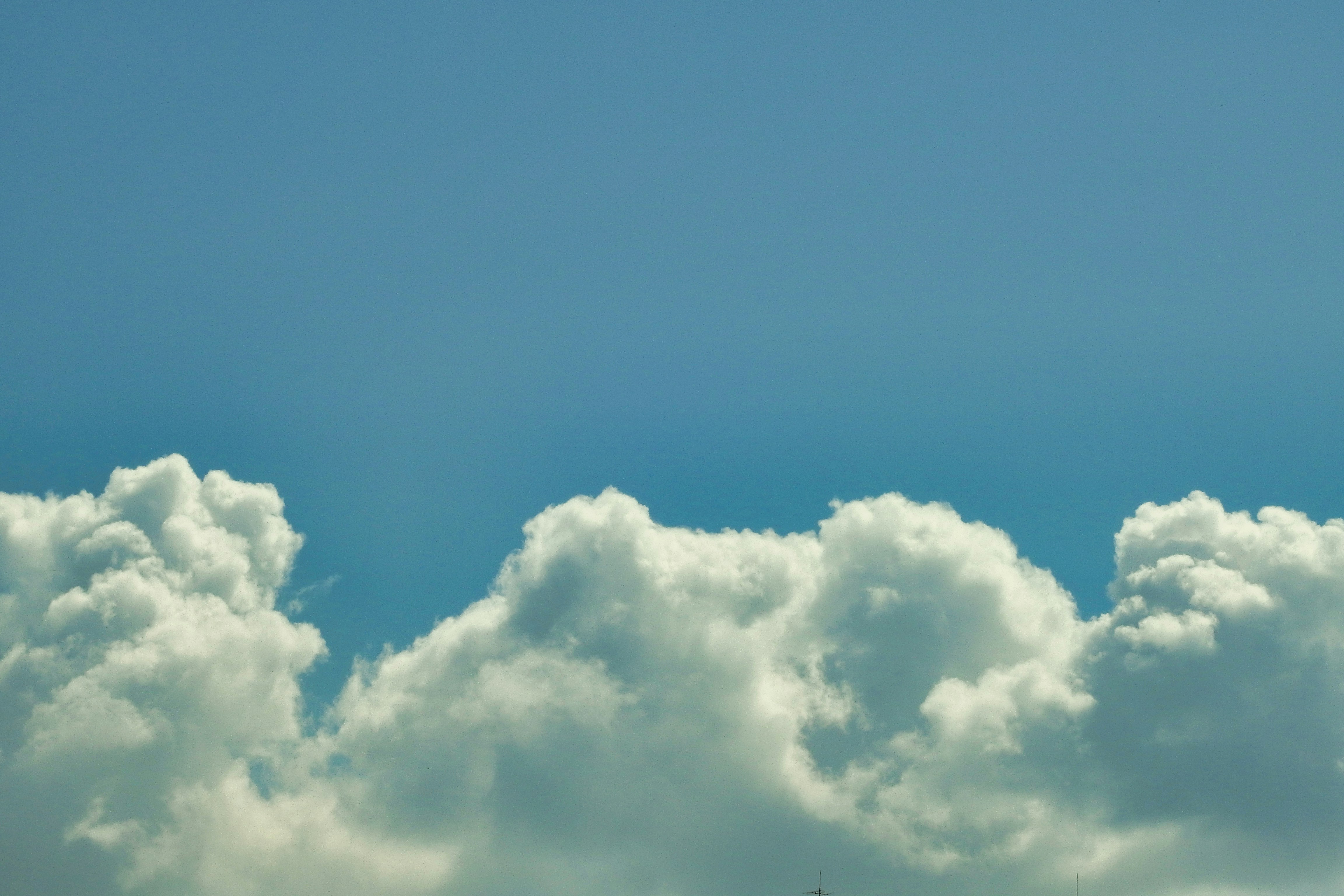 Fluffy white cumulus clouds against a clear blue sky