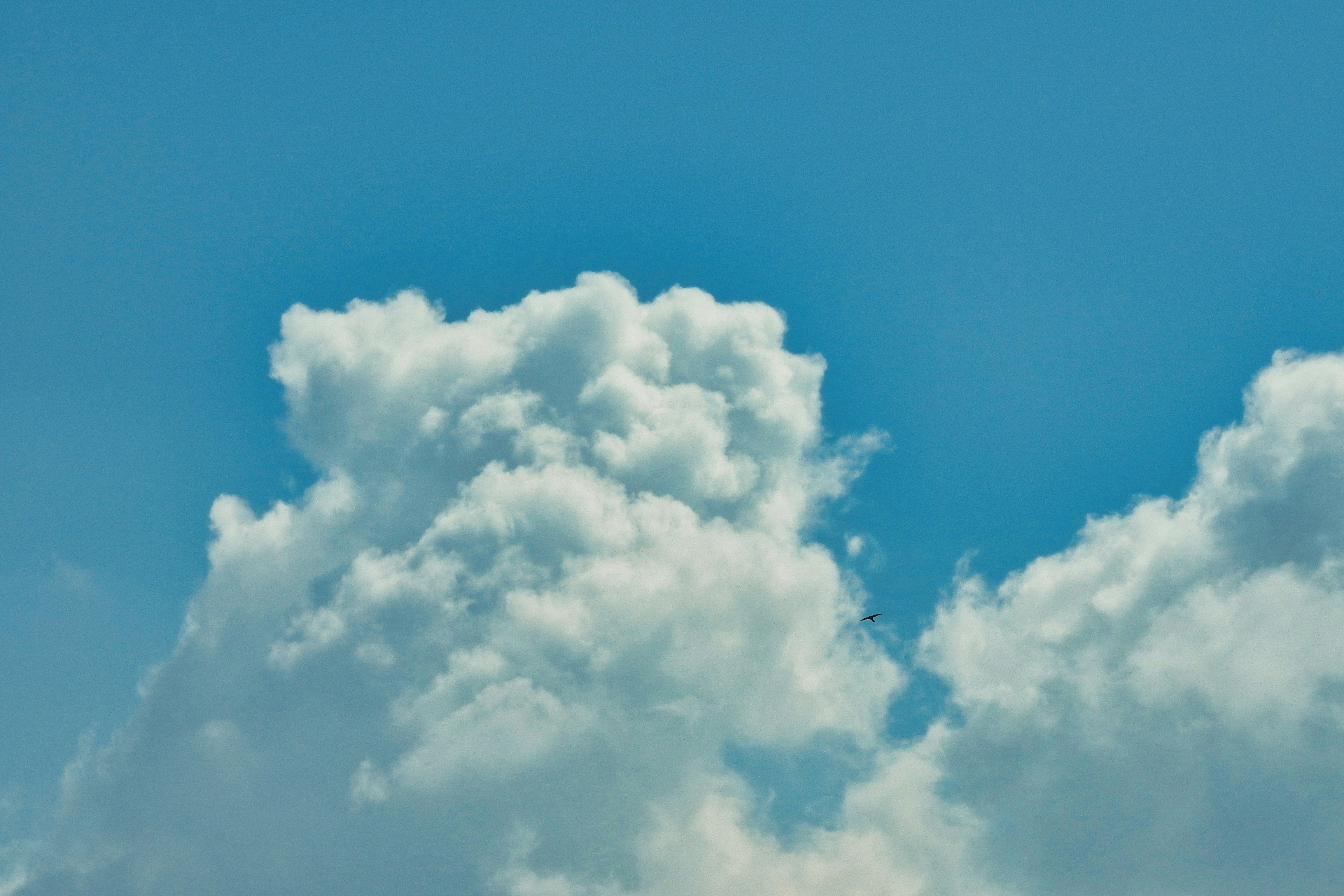A small bird flying near large white cumulus clouds in a blue sky