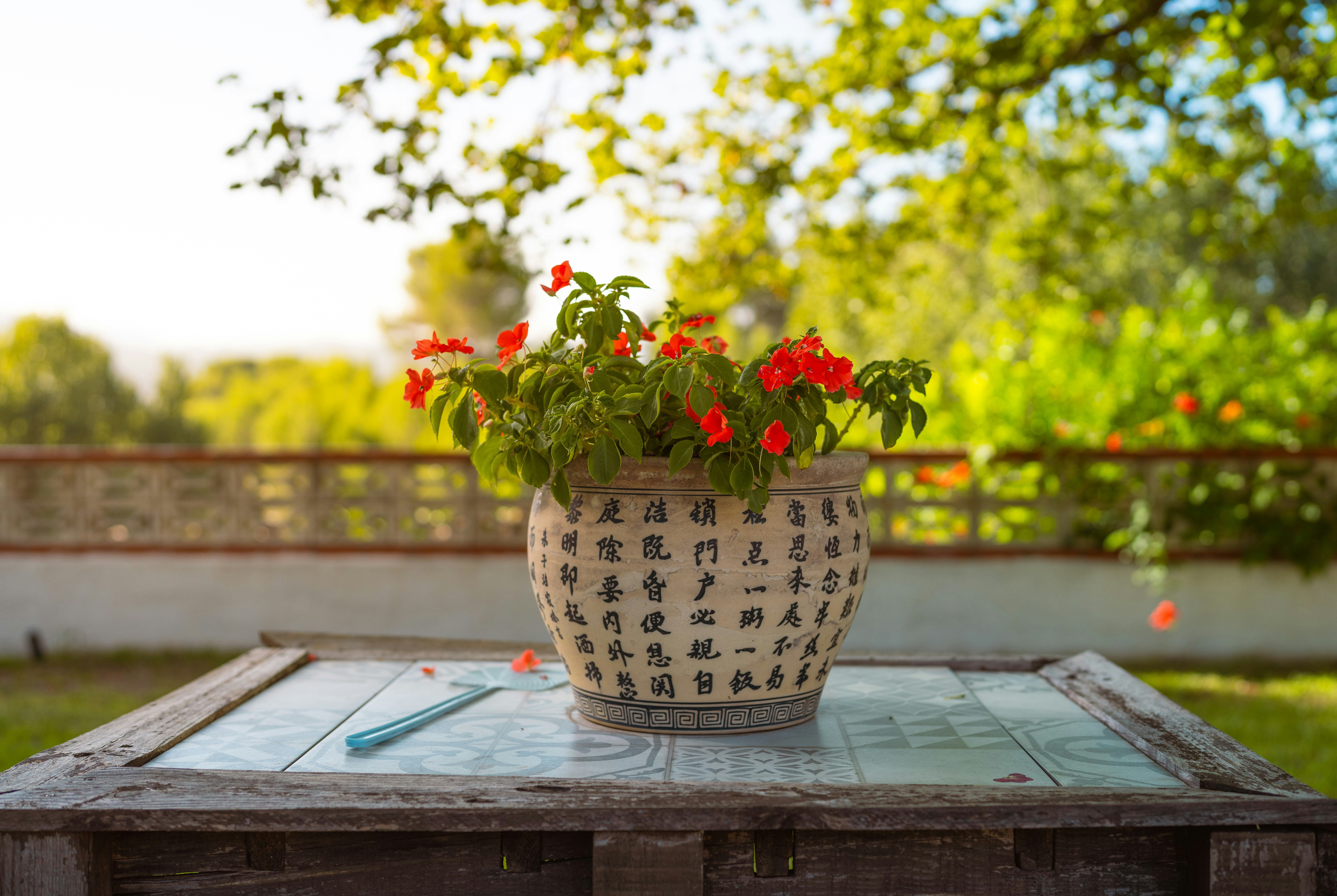Red flowers in a ceramic pot with black calligraphy on a tiled table