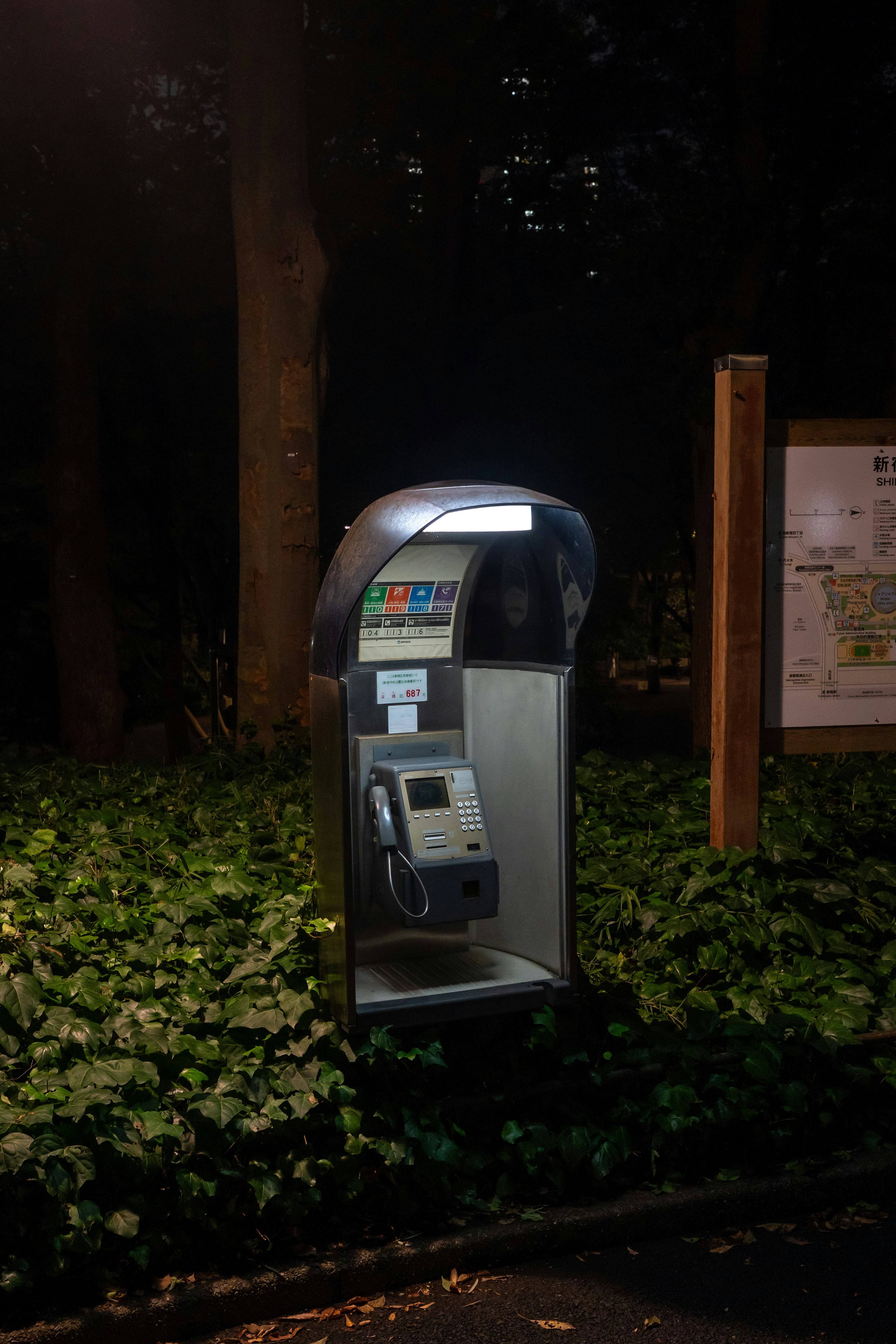 A lit public telephone booth surrounded by ivy in a park at night