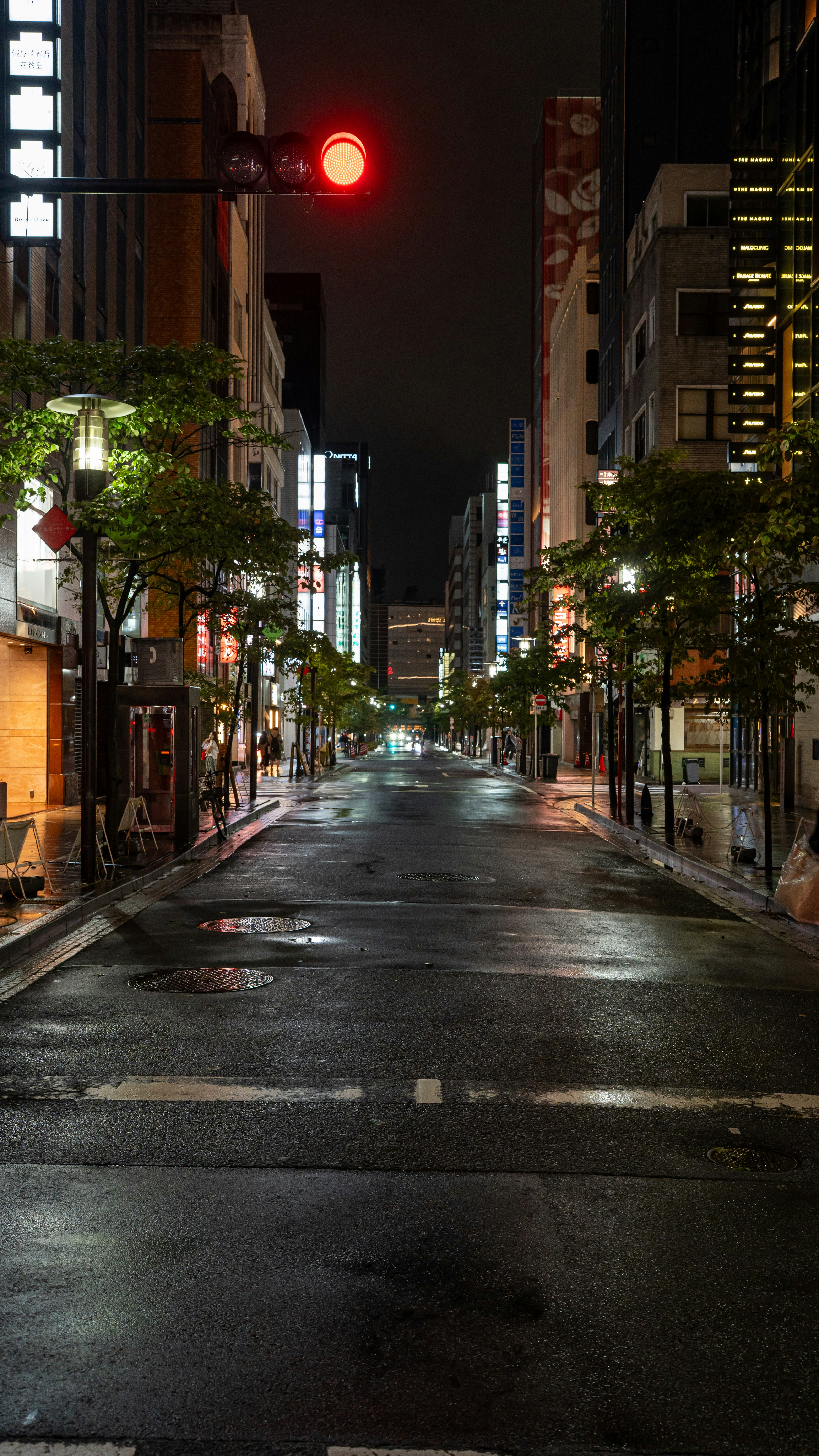 夜の濡れた街の通りは、ネオンサインと街灯に照らされていた