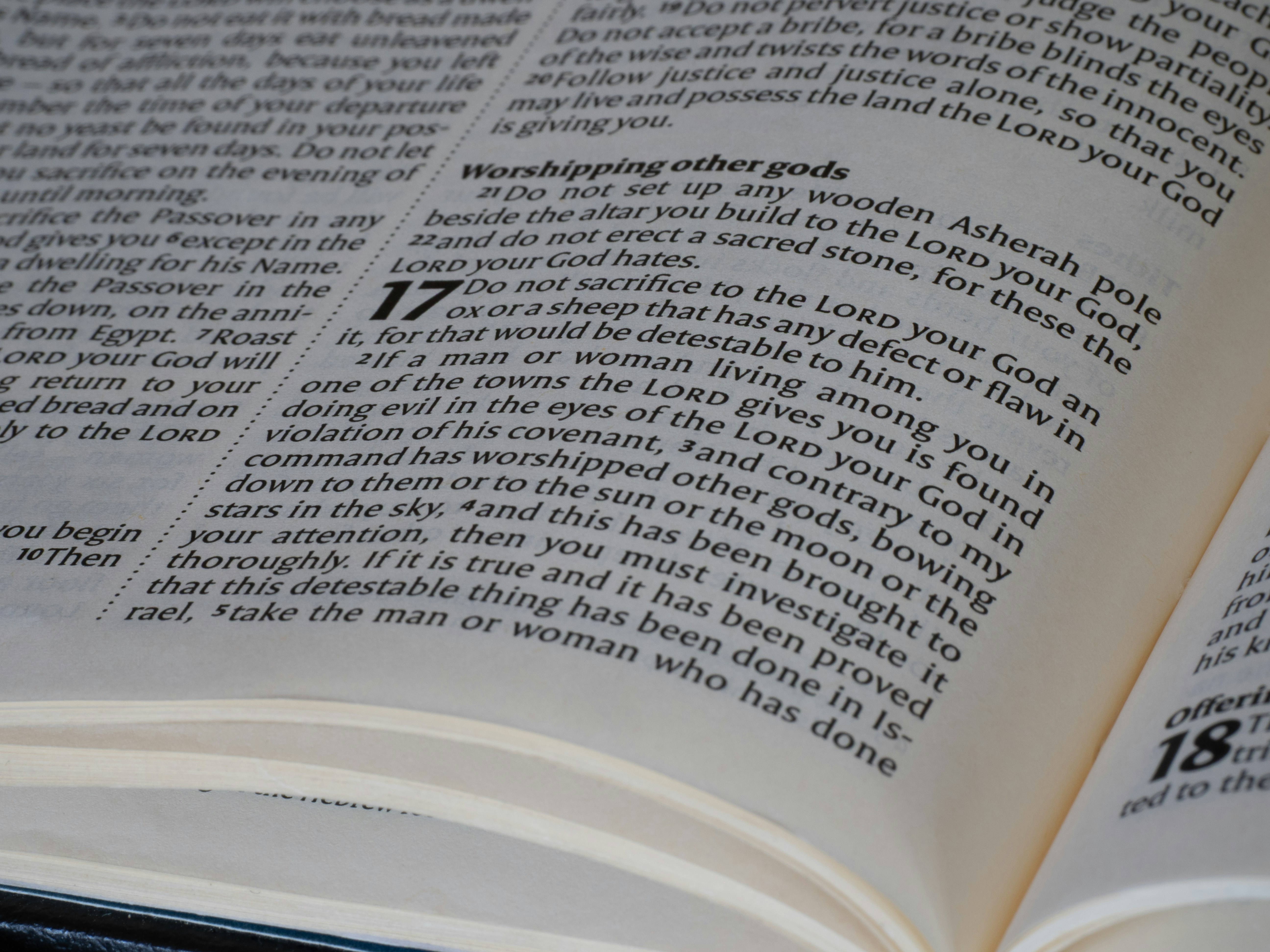 A close-up of printed text on an open page of a book