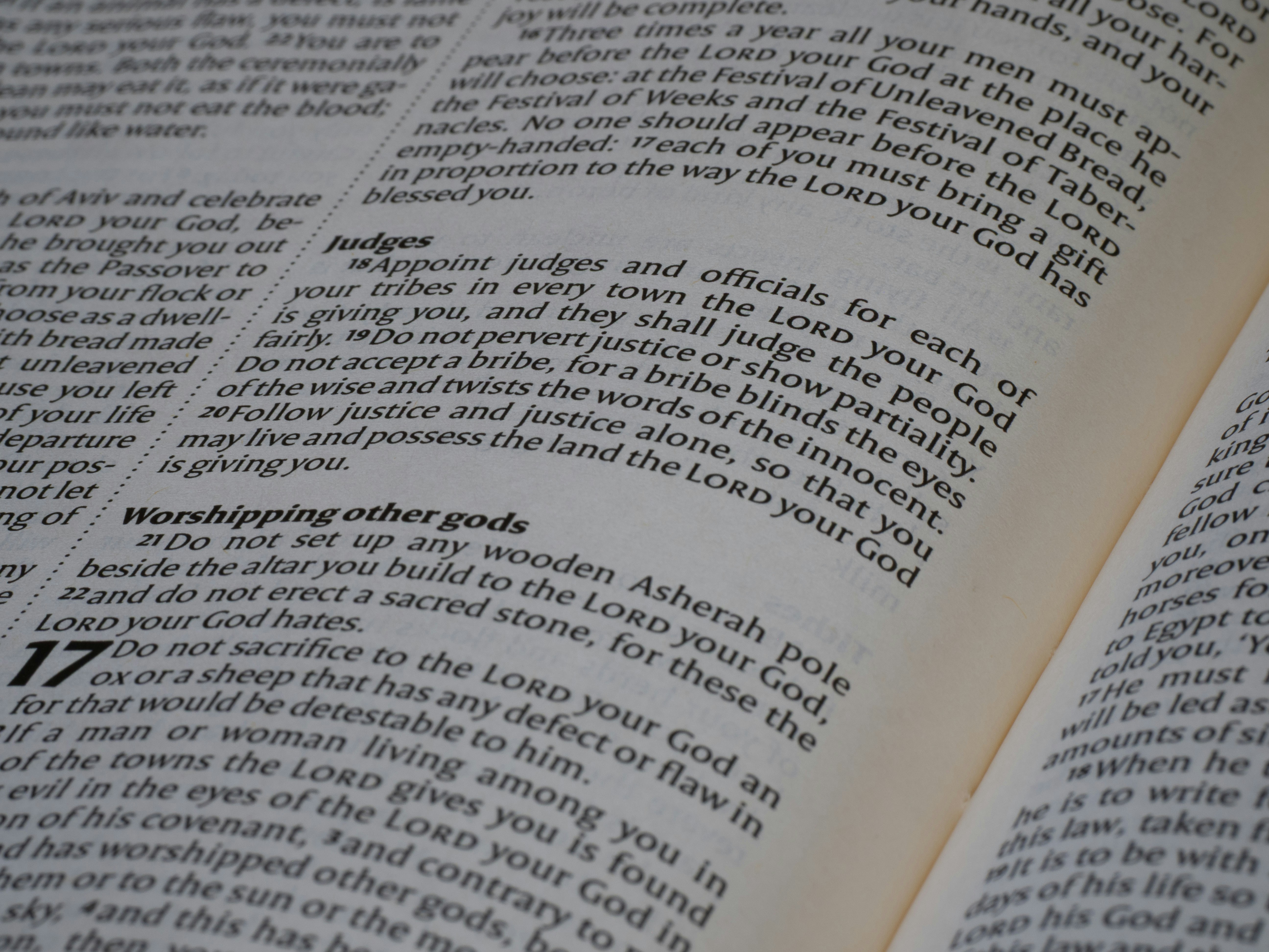 Close up of printed text on an open page of a bible
