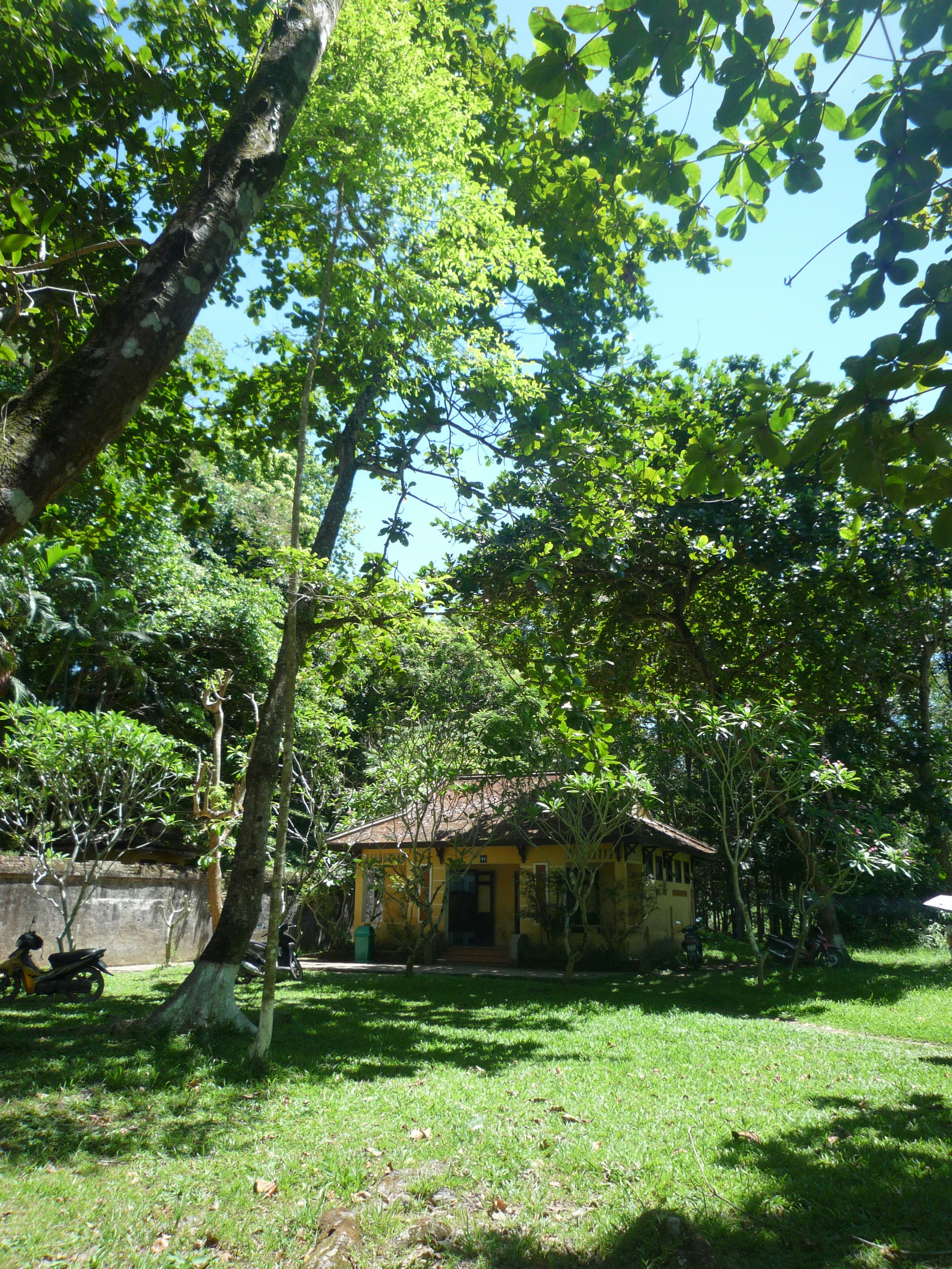 A yellow house nestled in a lush green forest with motorcycles parked nearby