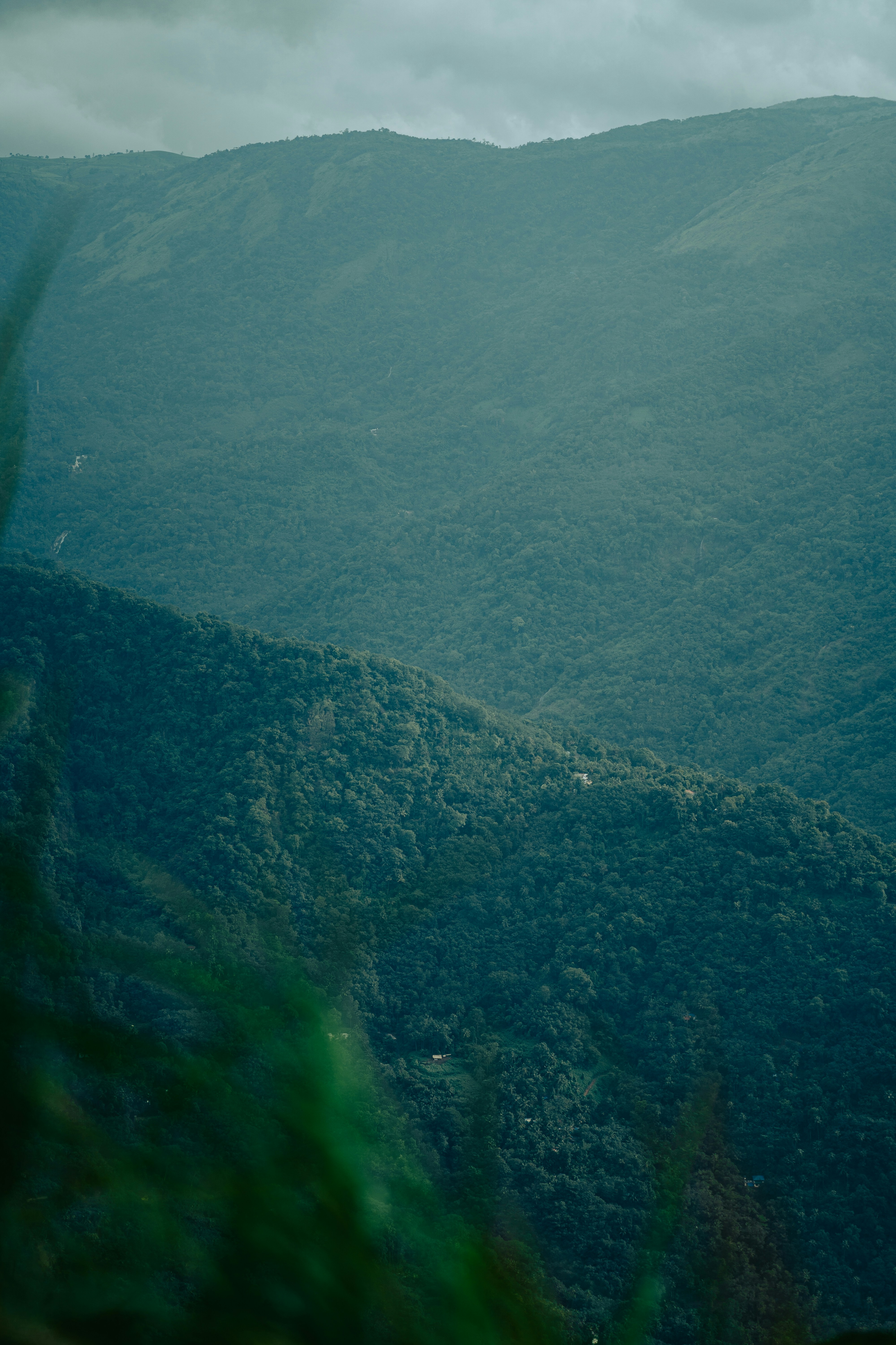Dense forest covering rolling mountain slopes under a cloudy sky