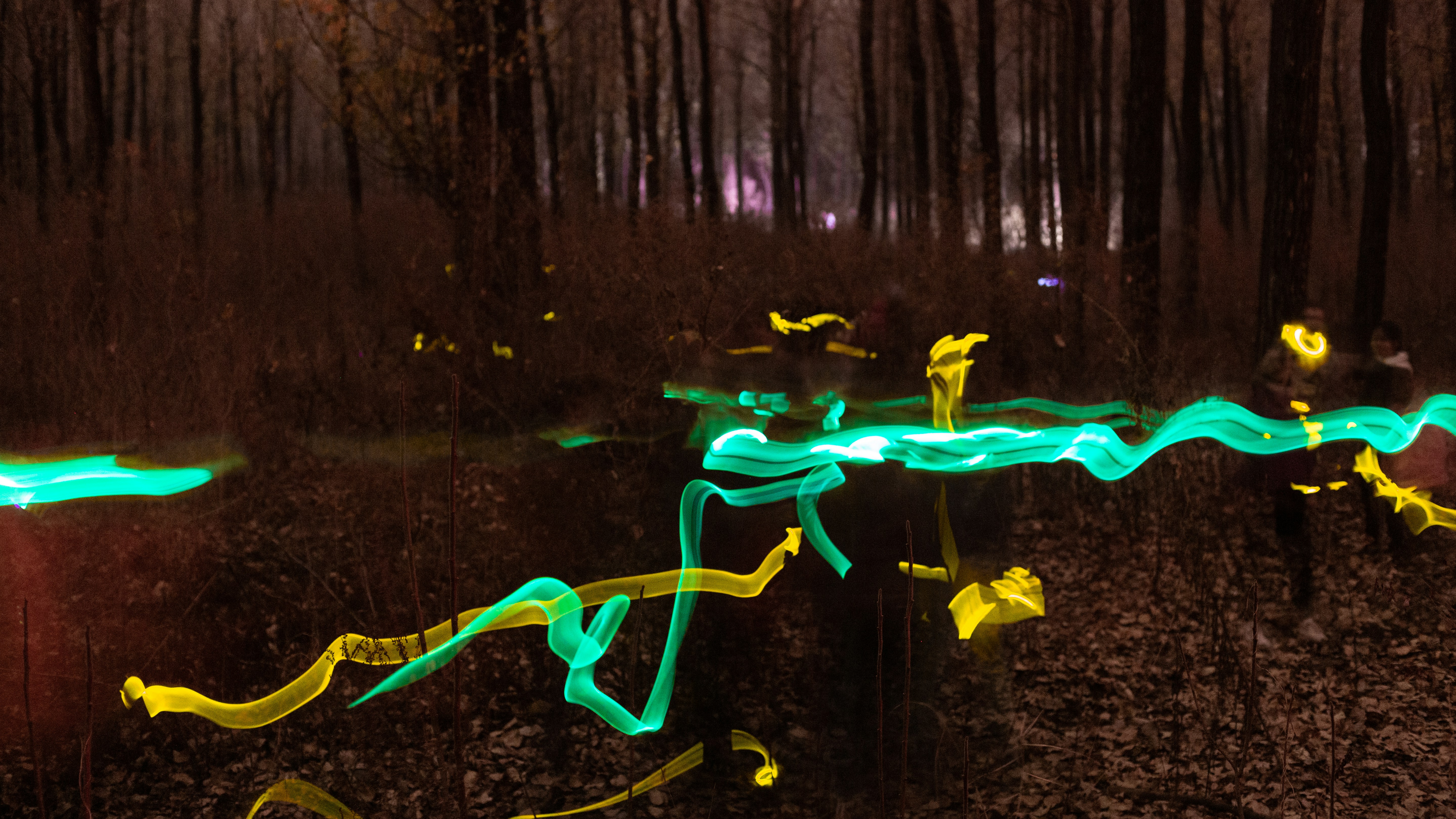 Long exposure light trails in green and yellow through a dark forest at night