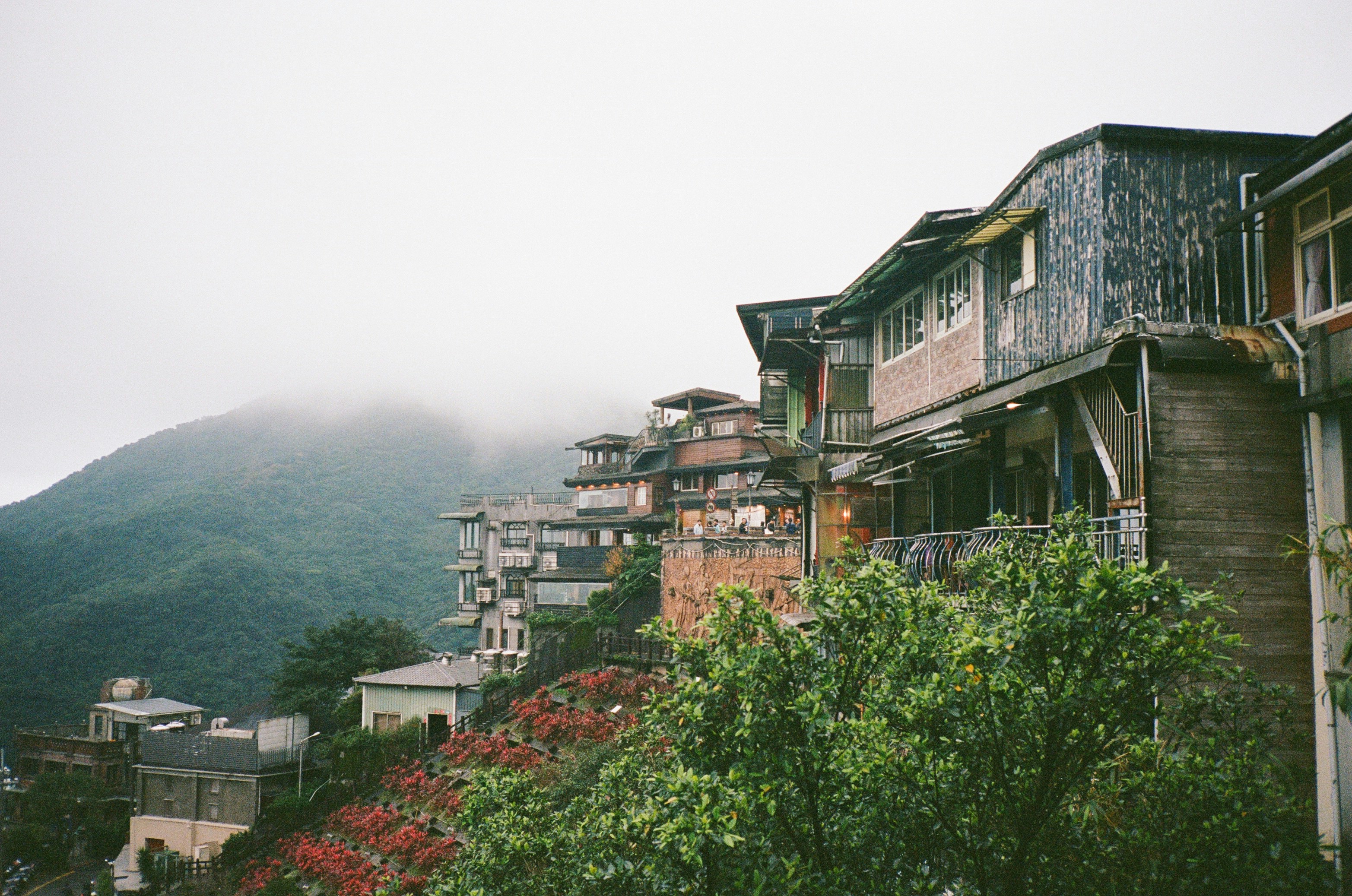 Buildings on a hillside with red flowers and a misty mountain in Jiufen