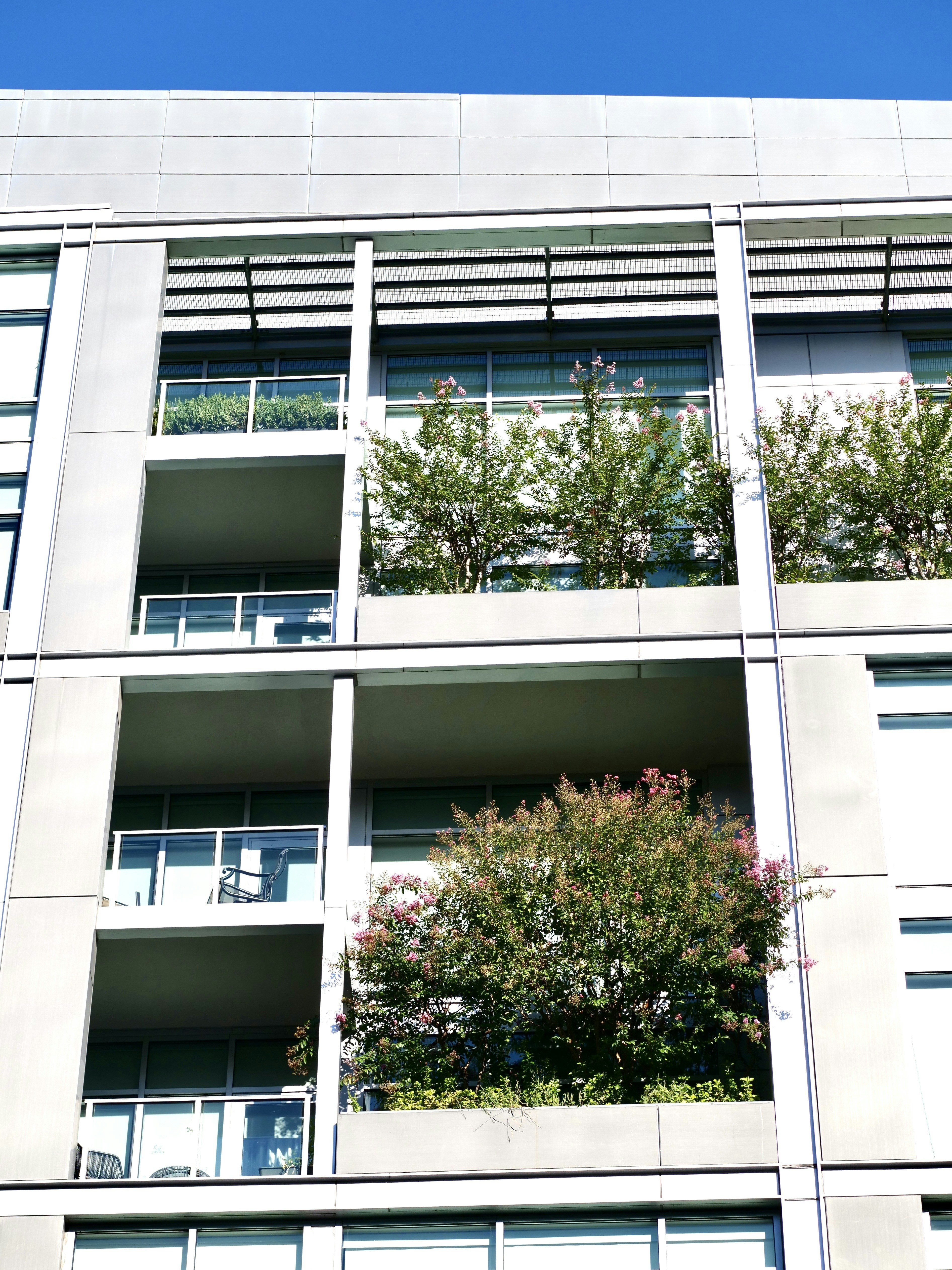 Modern apartment building facade with balconies containing flowering trees and green plants