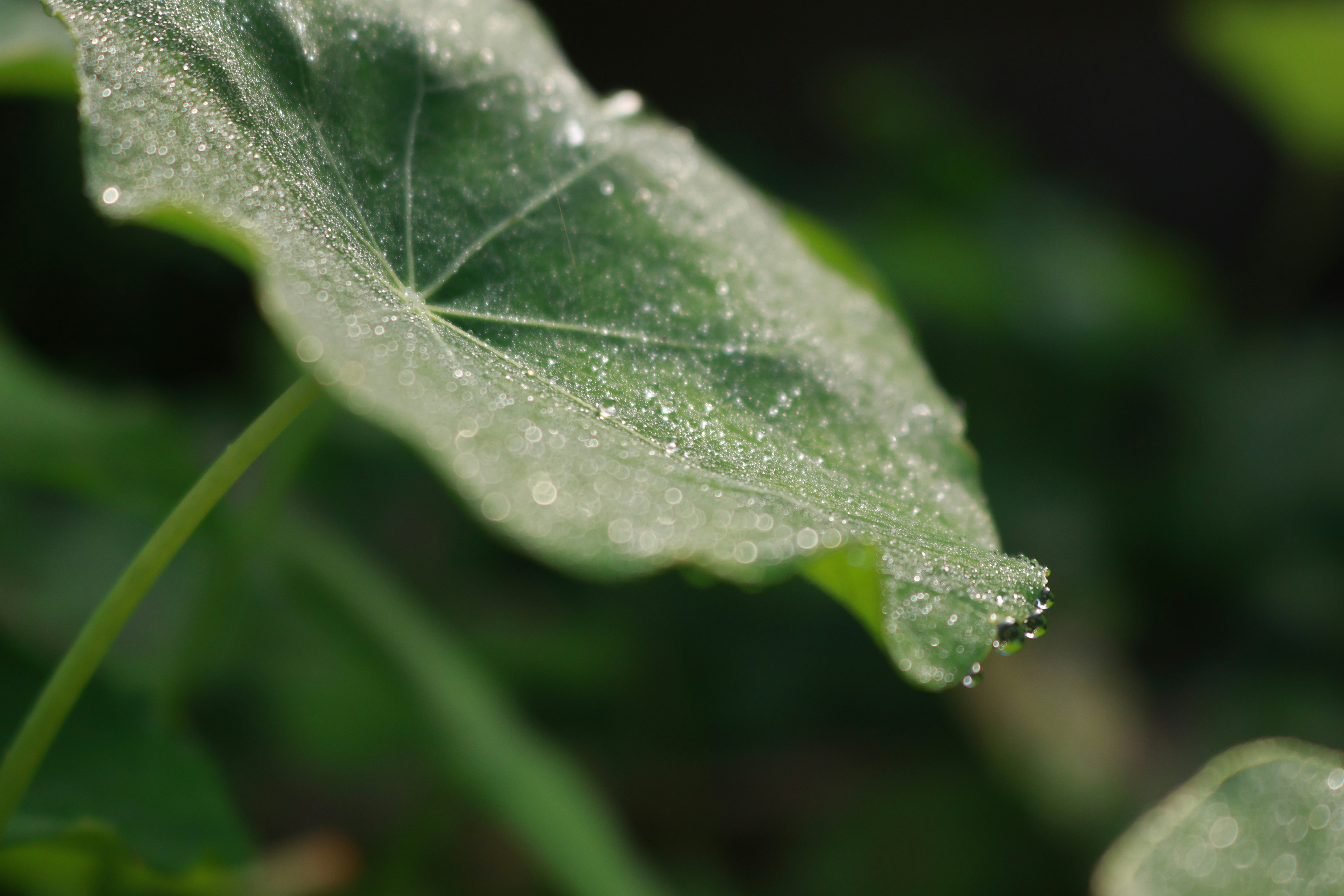 Abigail Eades (@abigaileades5) | Unsplash 사진 커뮤니티