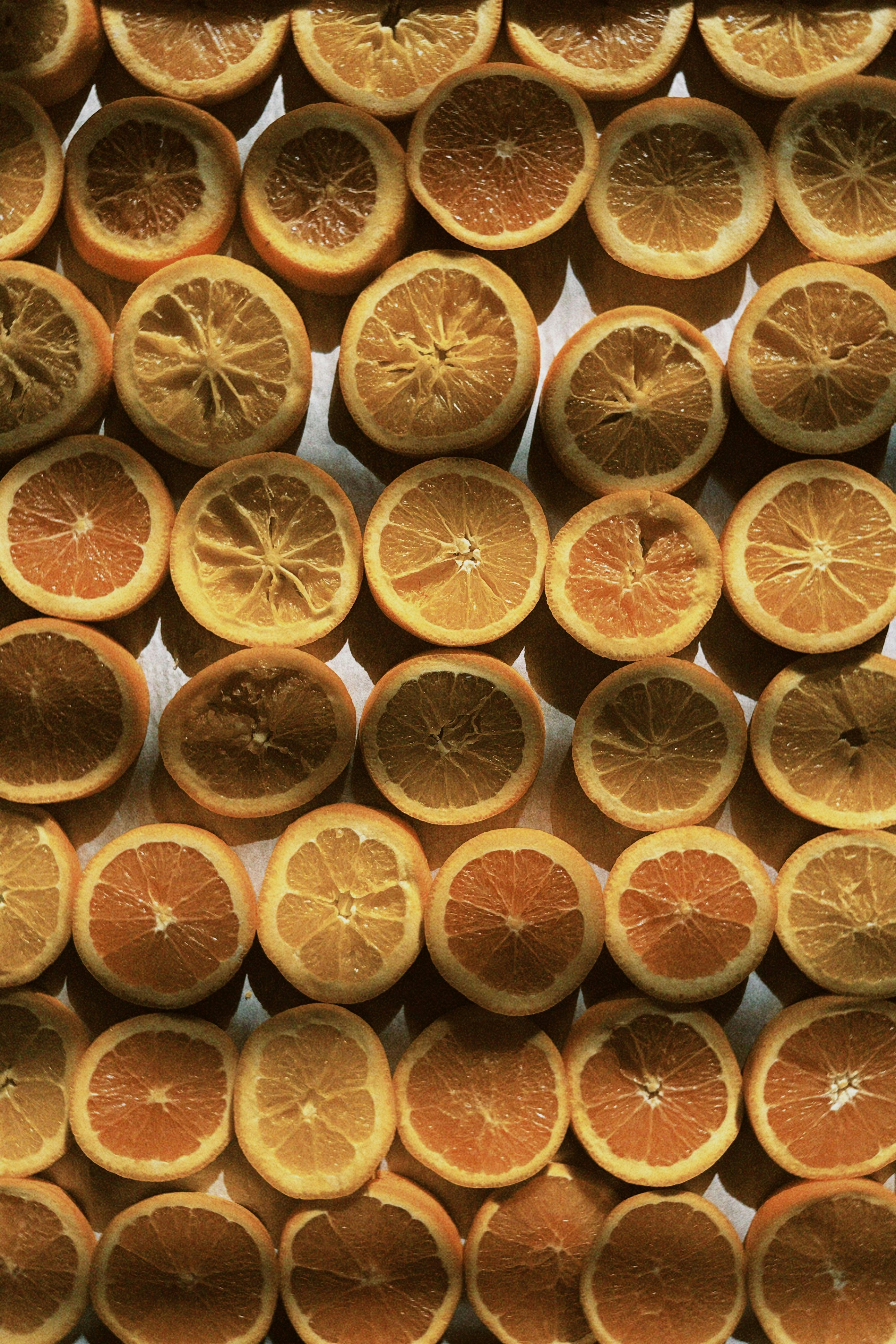 Many orange slices arranged in a grid pattern on a flat surface