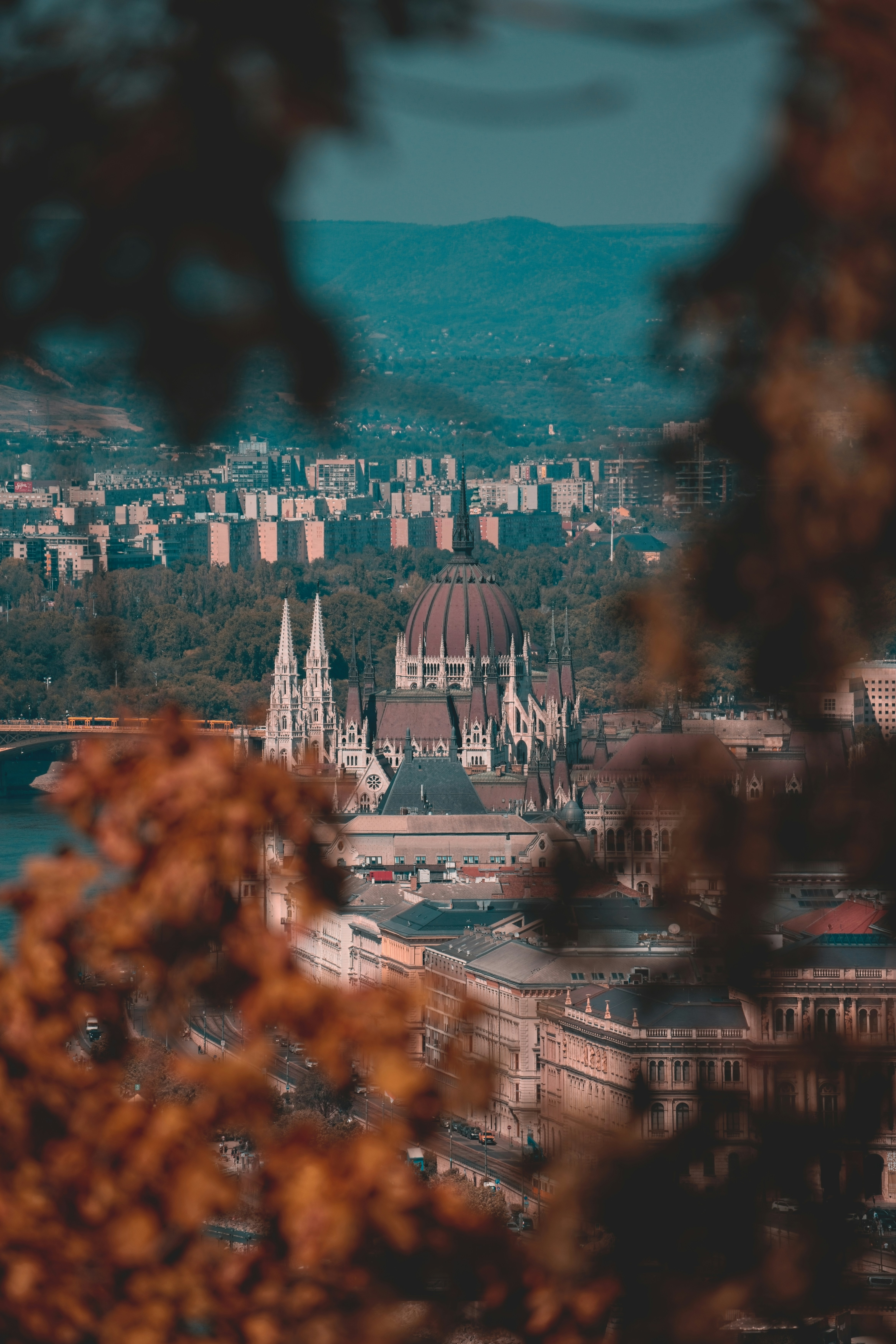 The Hungarian Parliament Building framed by blurred autumn leaves in Budapest