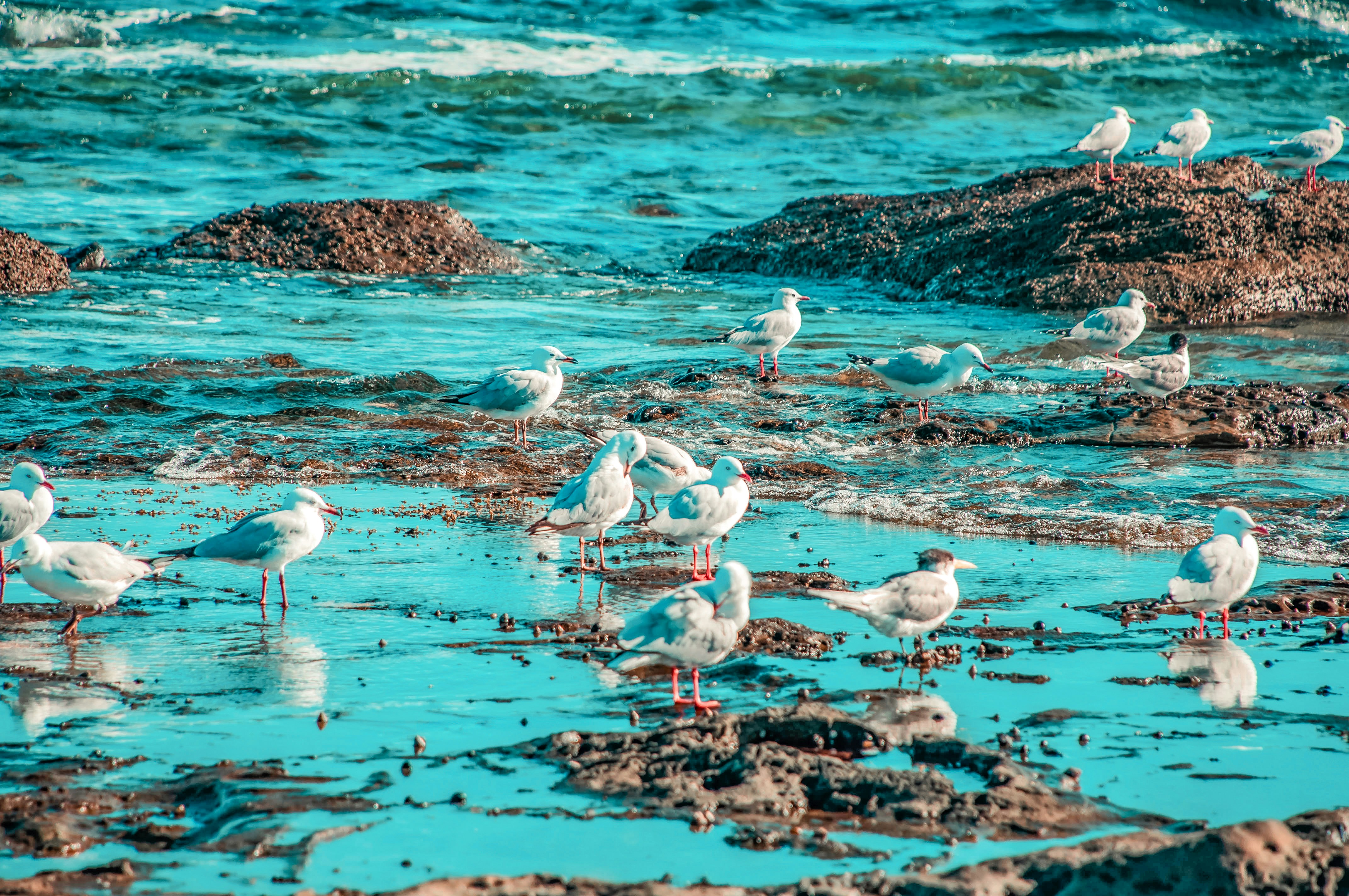 Nicole Avagliano (@nicolescapturedmoments) | Comunidad de fotos de Unsplash