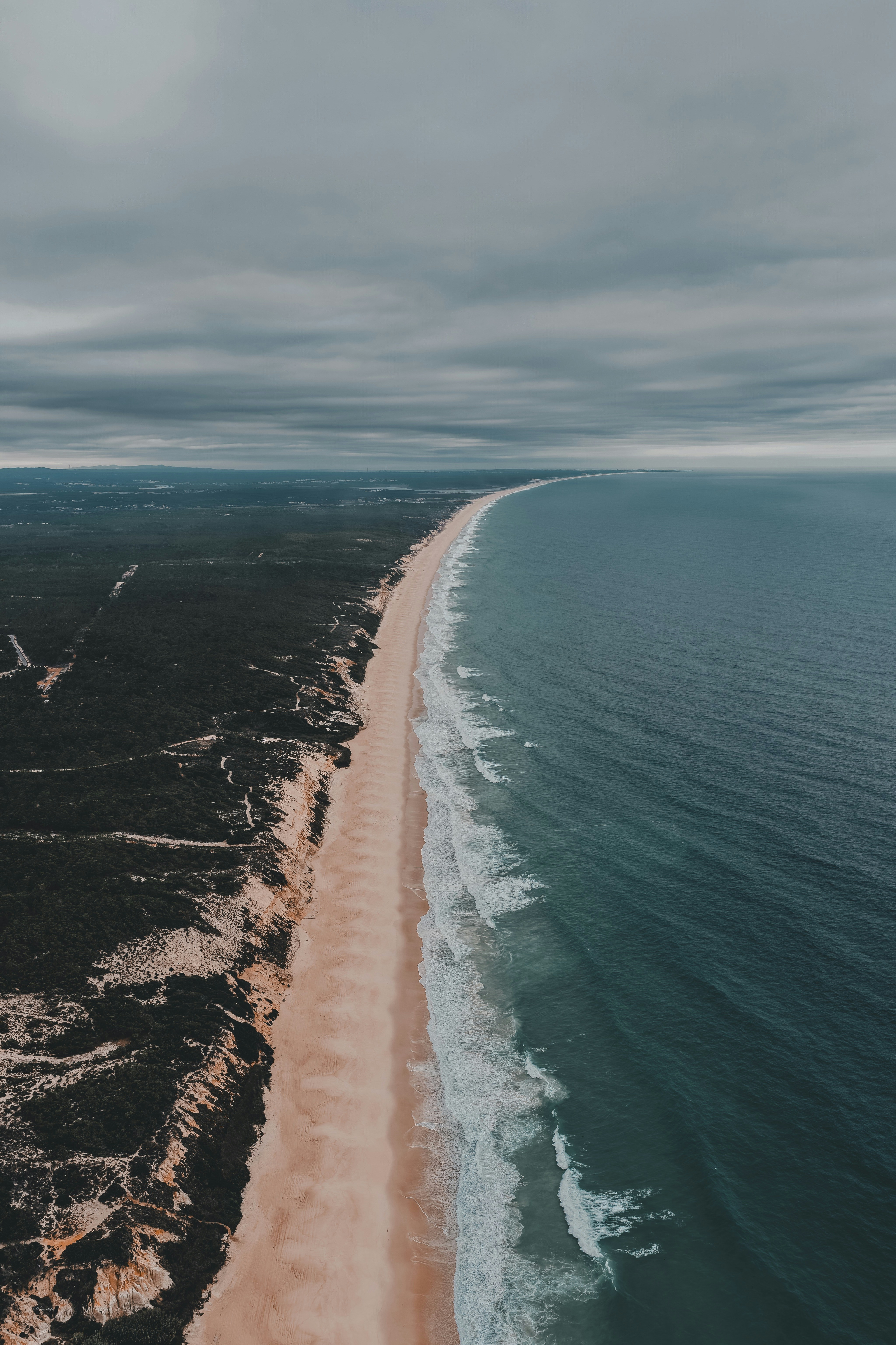 An aerial view of a long sandy beach bordering a dark forest and ocean