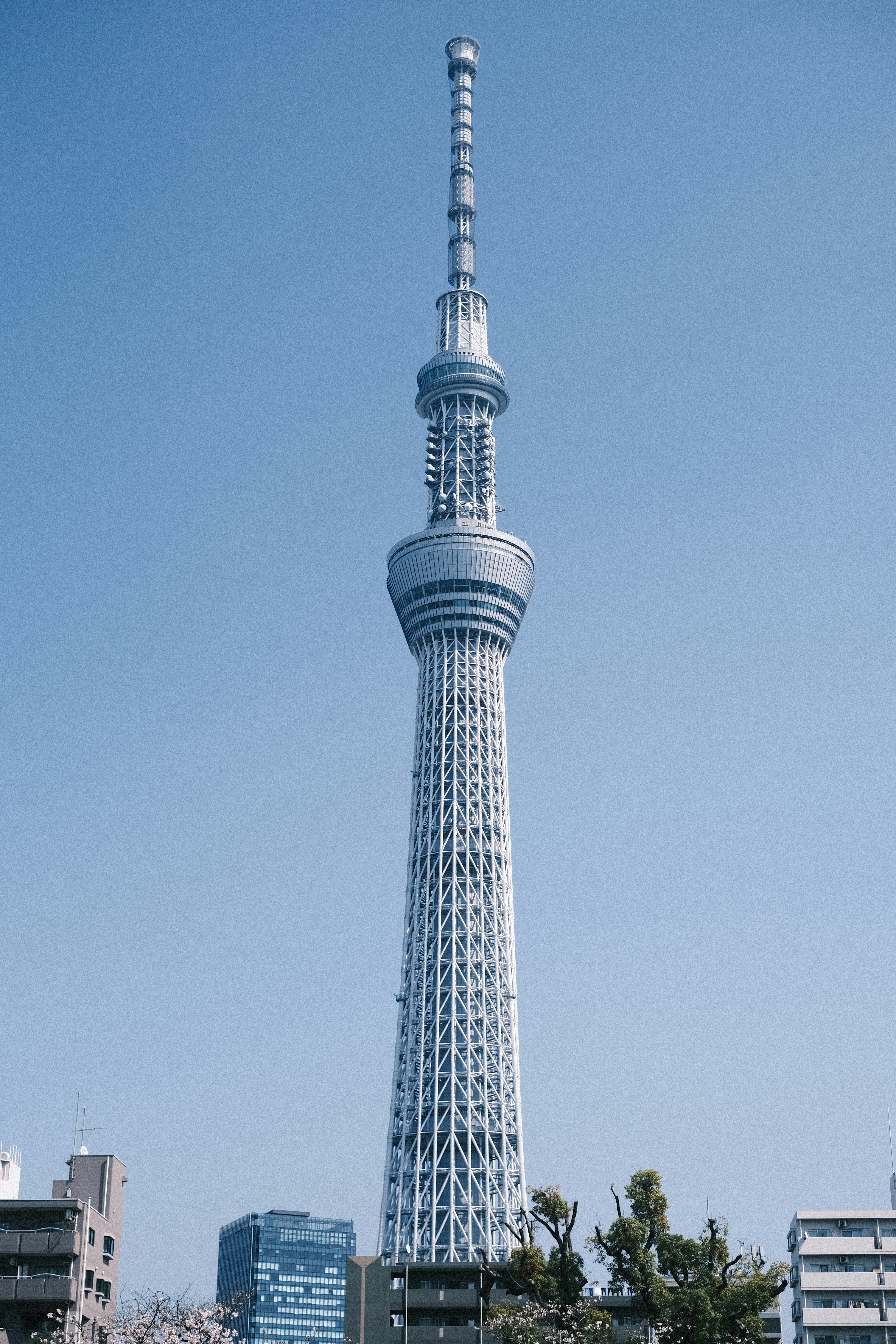 The Tokyo Skytree tower rising above city buildings against a clear blue sky