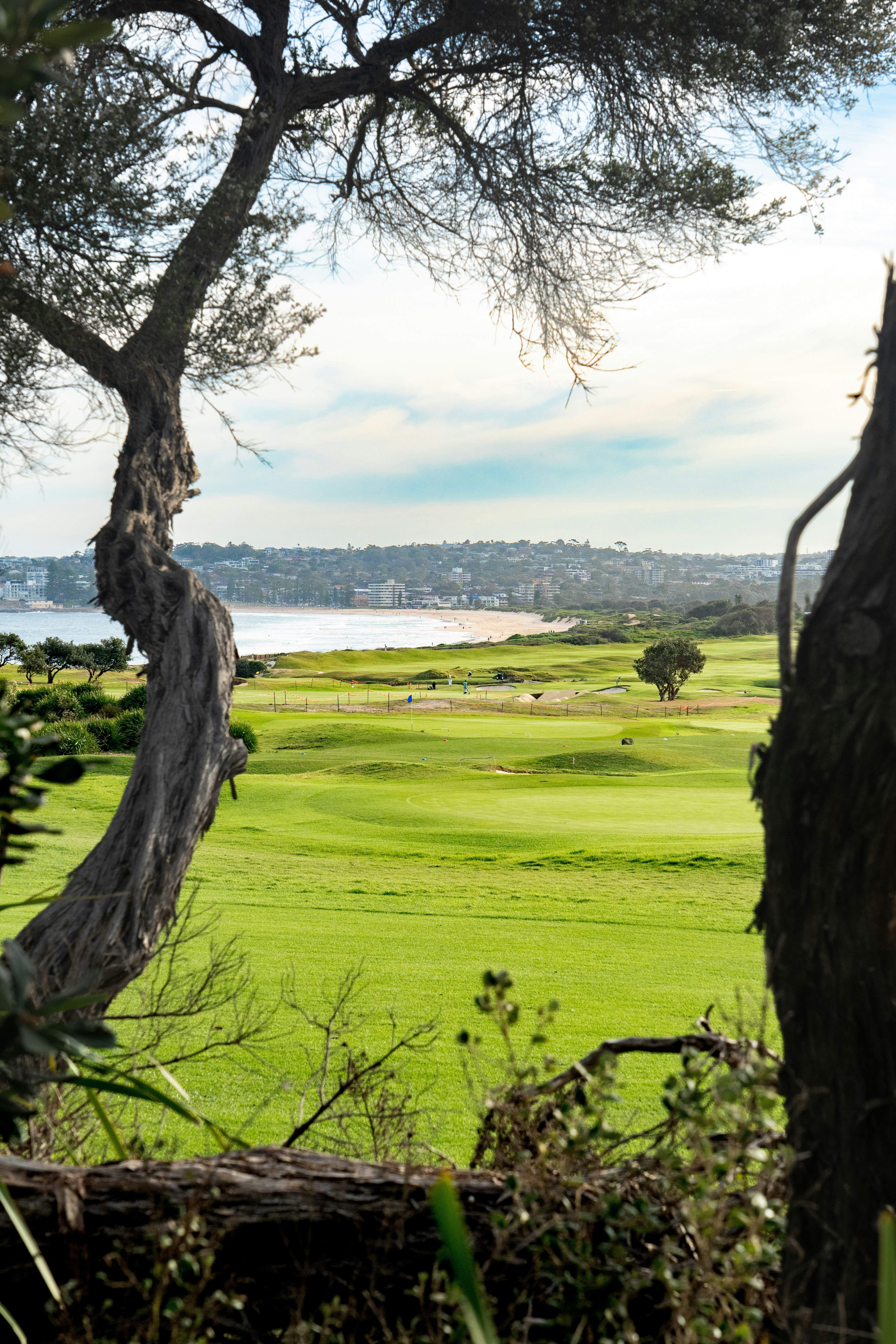 A green golf course beside a sandy beach and ocean under a bright sky