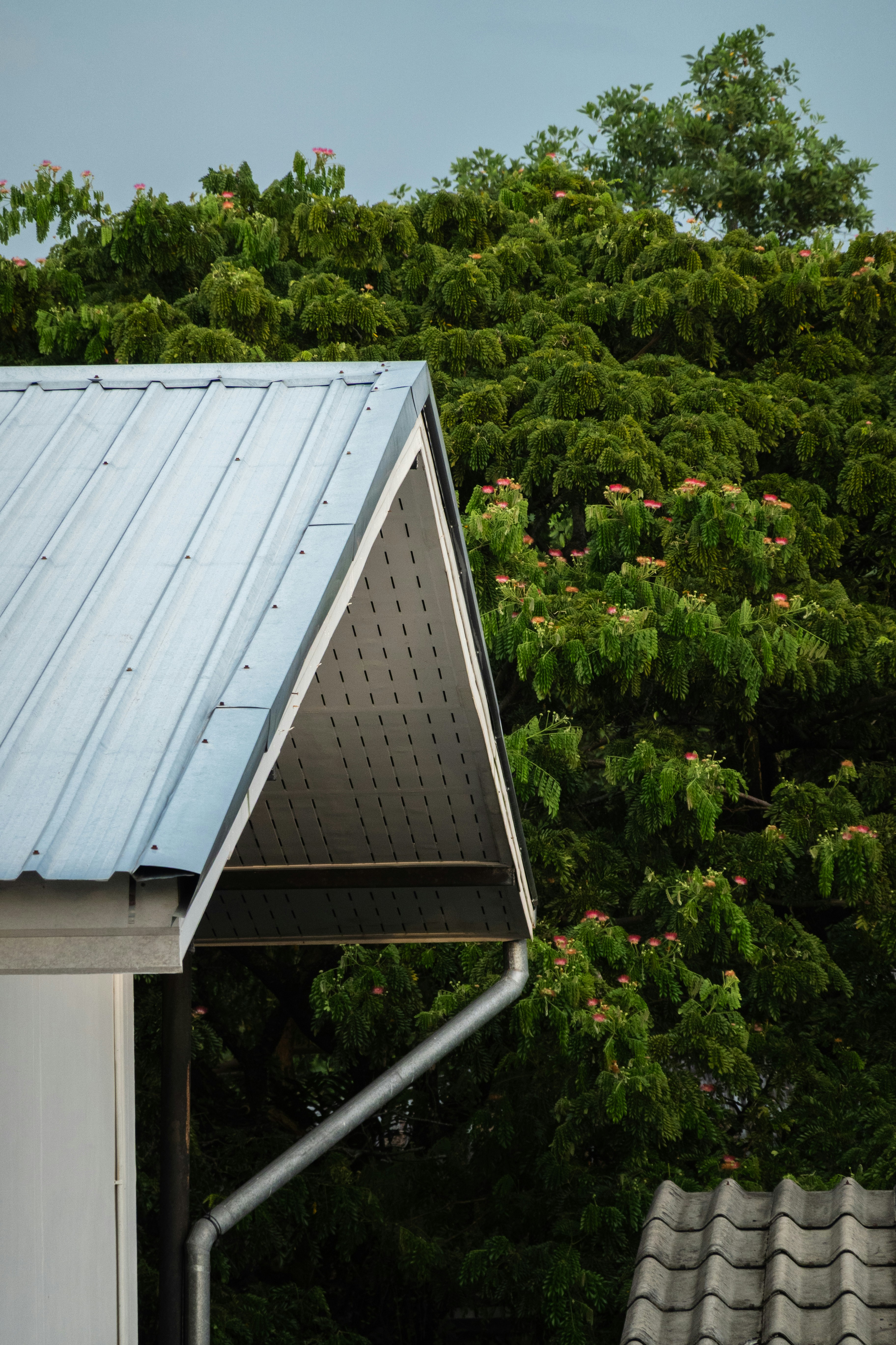 A metal roof gable with a gutter against a lush green flowering tree