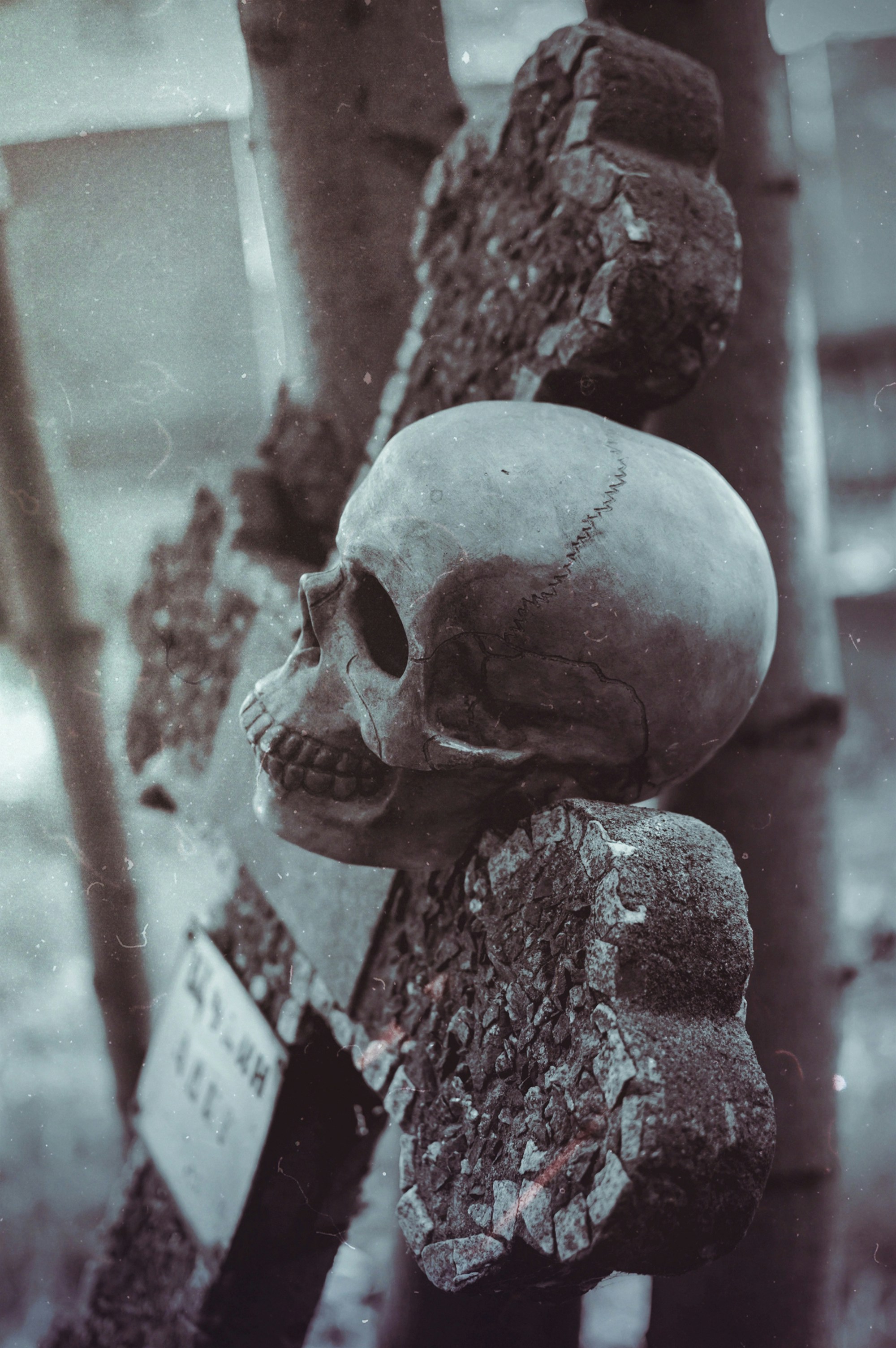 A human skull resting on a weathered stone cross in a cemetery