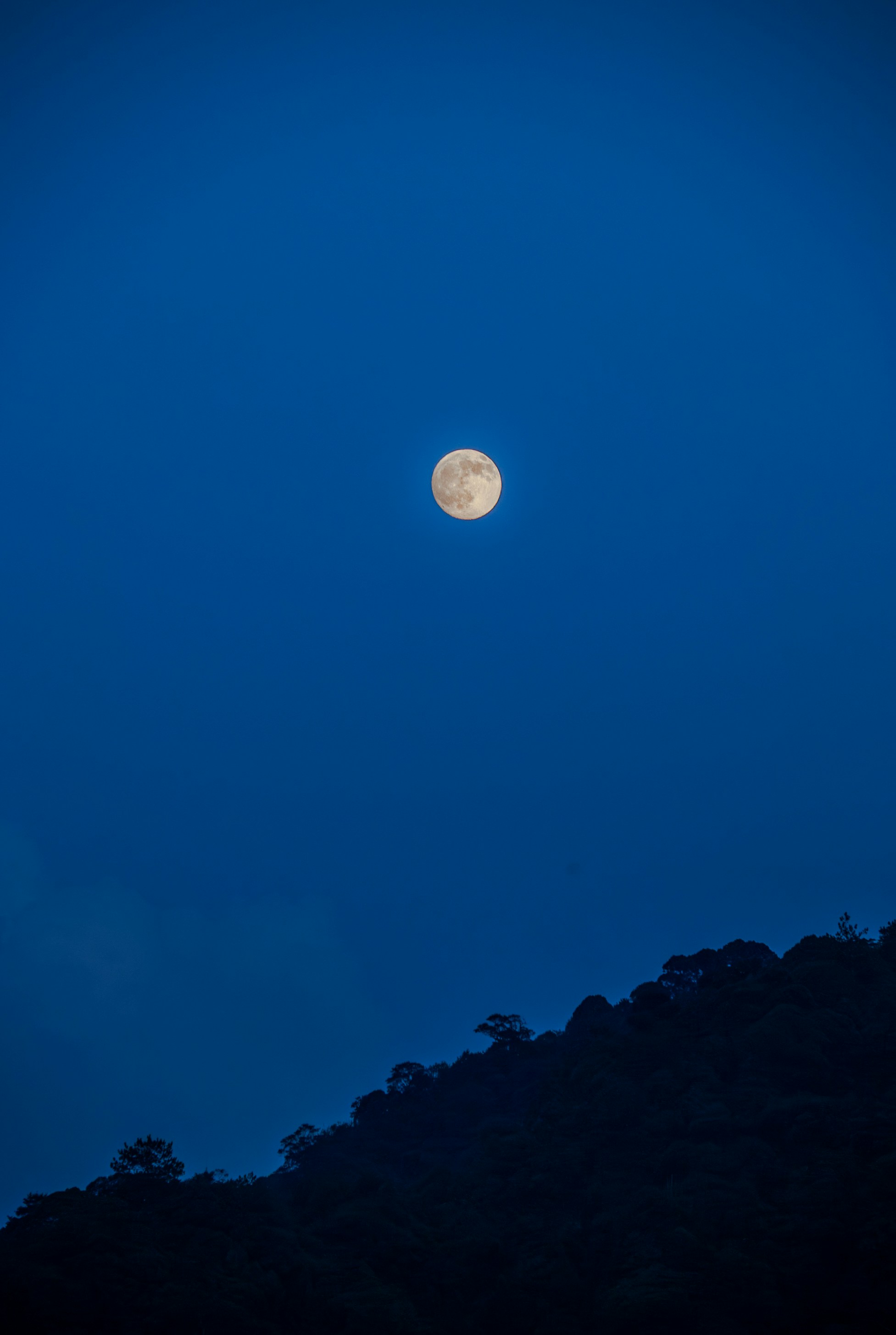 A full moon in a deep blue sky above a dark forested hillside