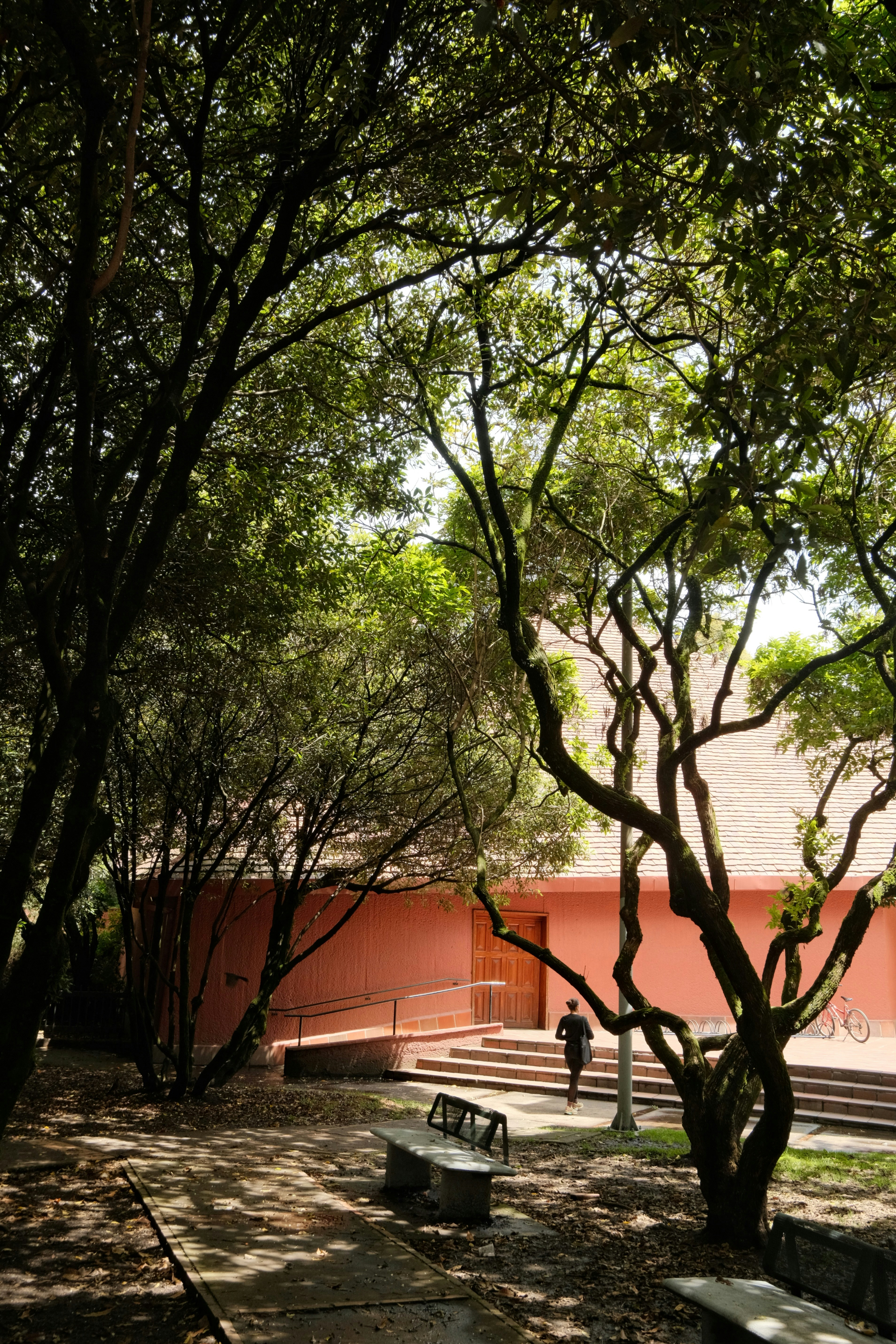 A person walking toward a pink building behind trees in a park