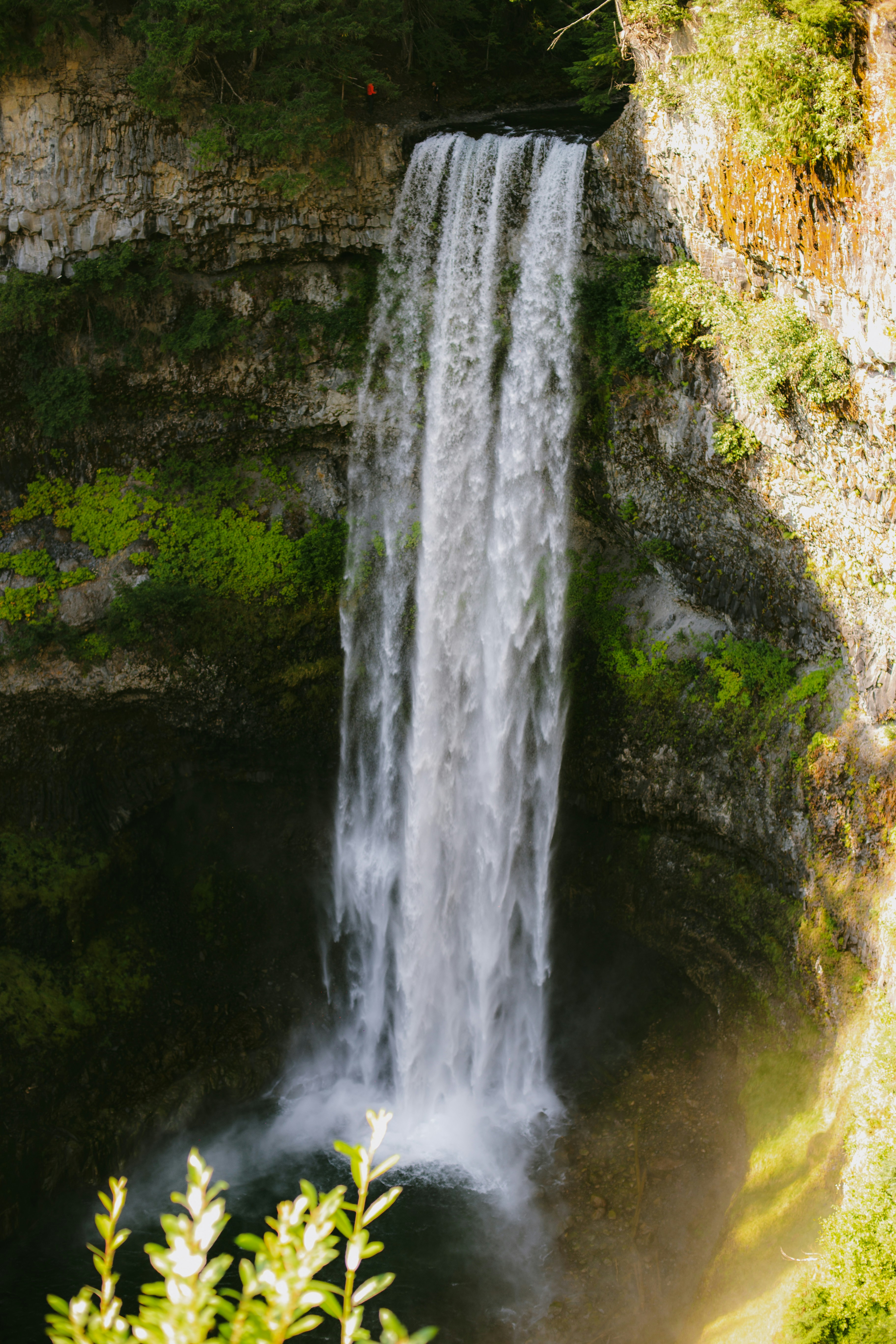 Brandywine Falls pours over its basalt lip into a mossy green bowl in the summer sun.