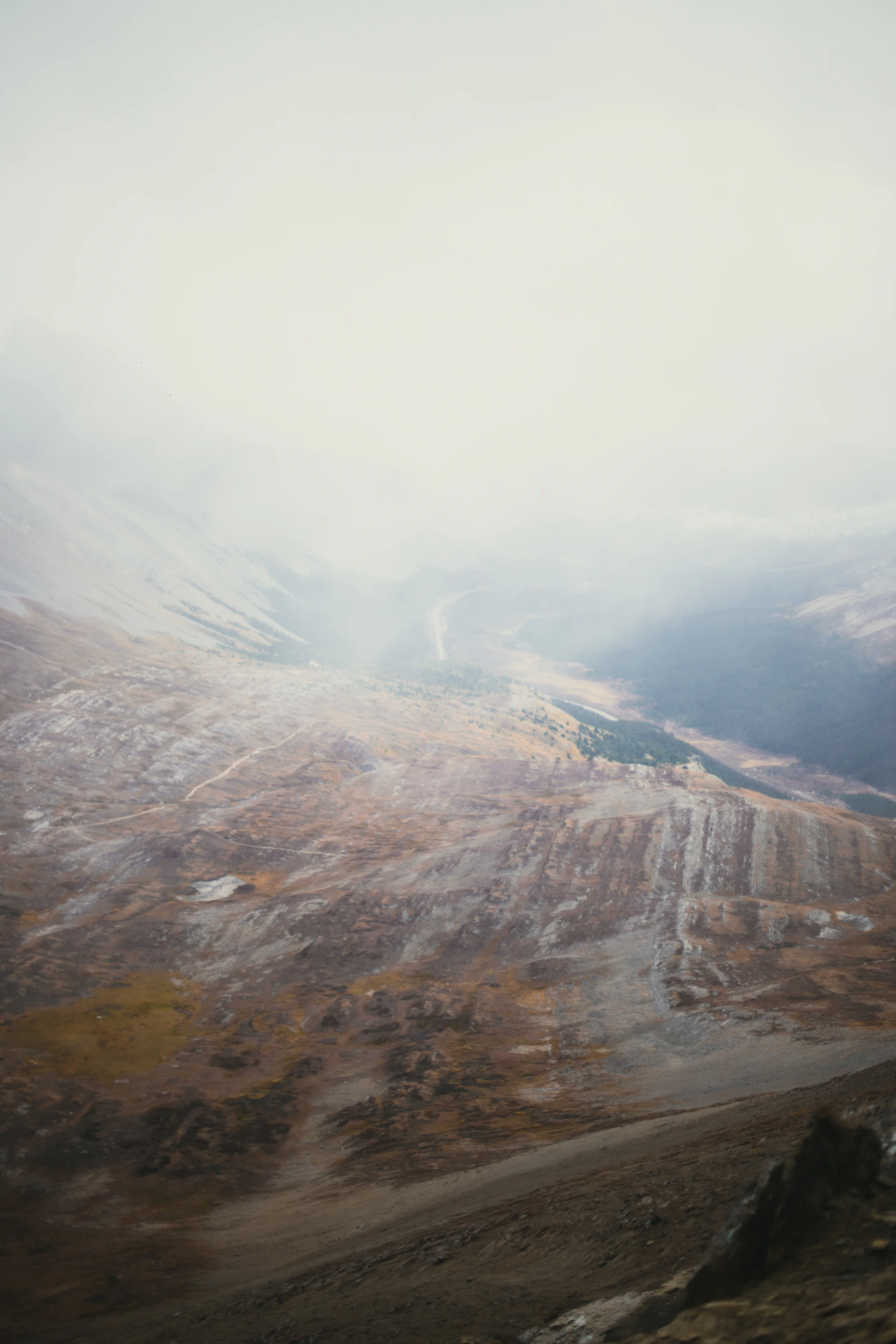 A high mountain valley with rocky slopes and sparse vegetation under a thick layer of fog
