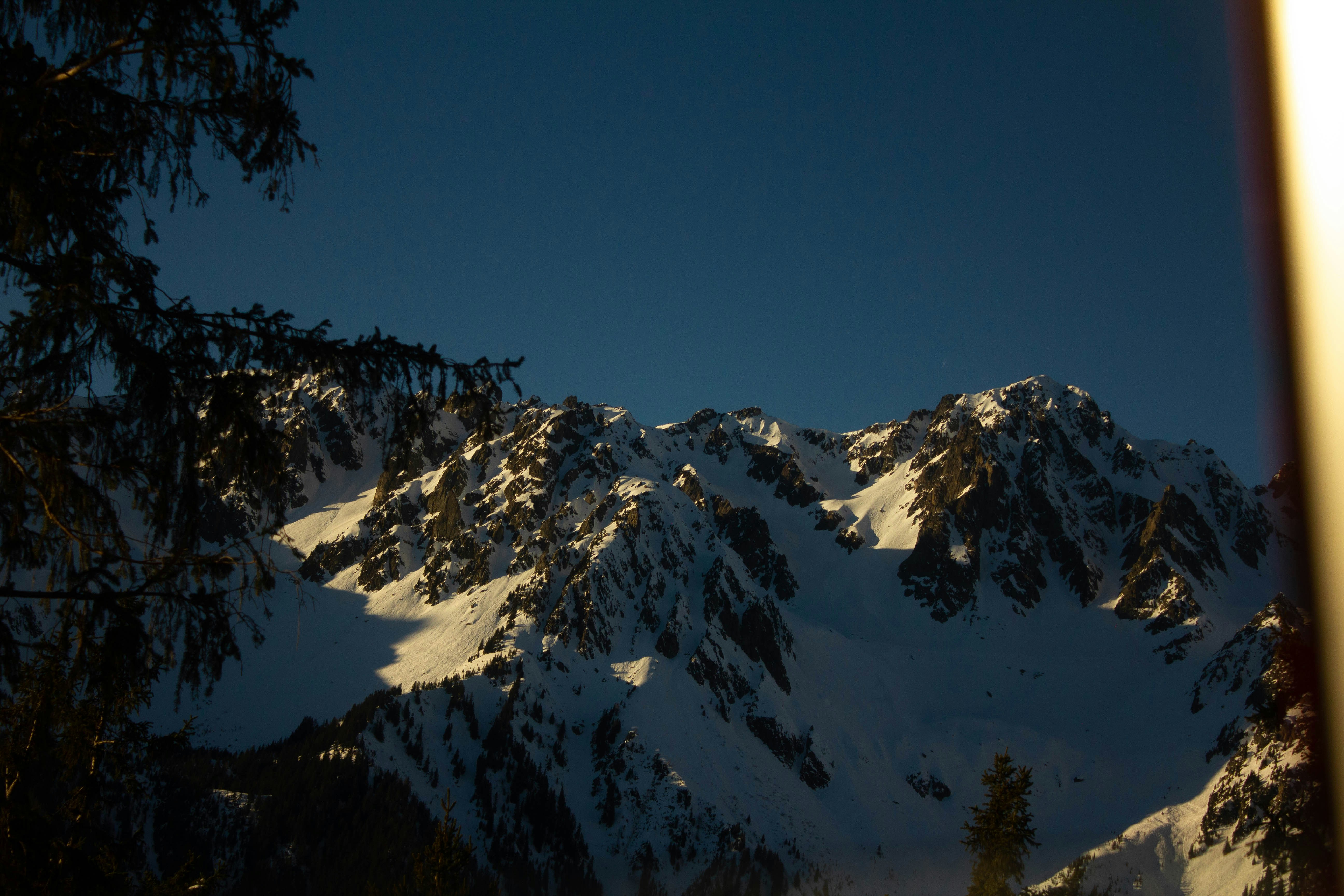 Snow-covered mountain peaks under a clear dark blue sky with pine tree silhouettes
