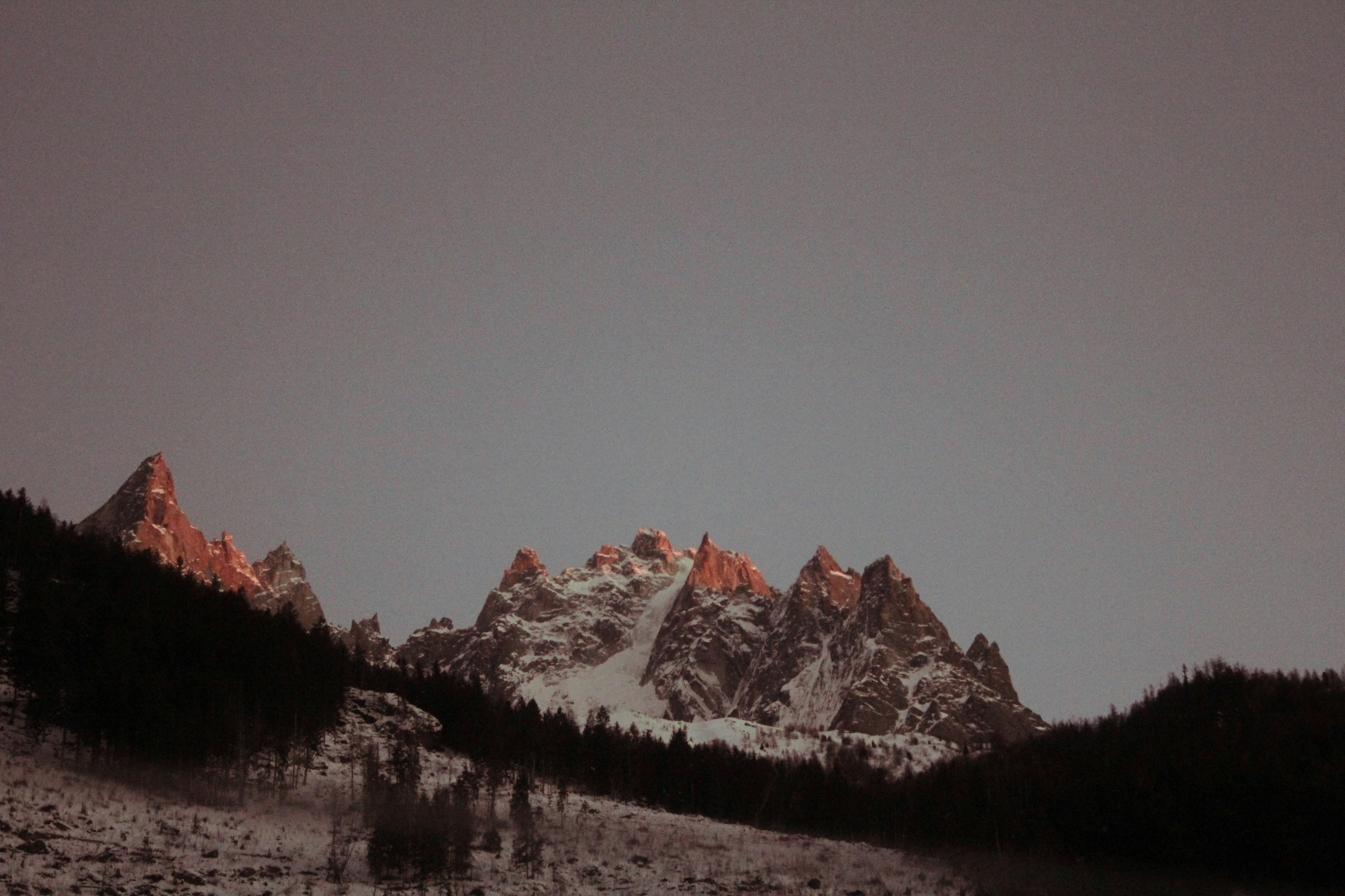 Snowy mountain peaks glowing with warm light above a dark pine forest