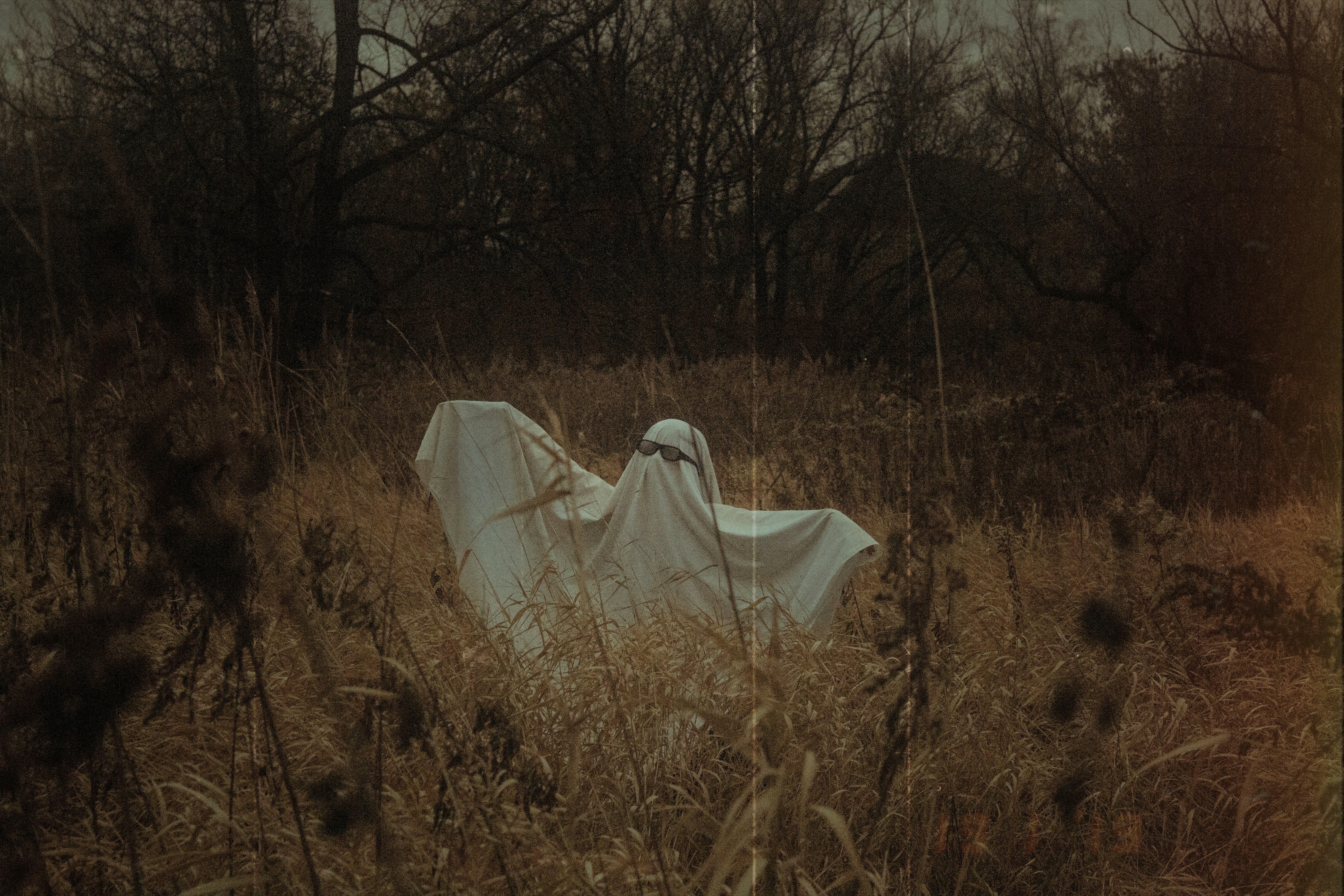A person in a white sheet costume with sunglasses in a field of tall dry grass
