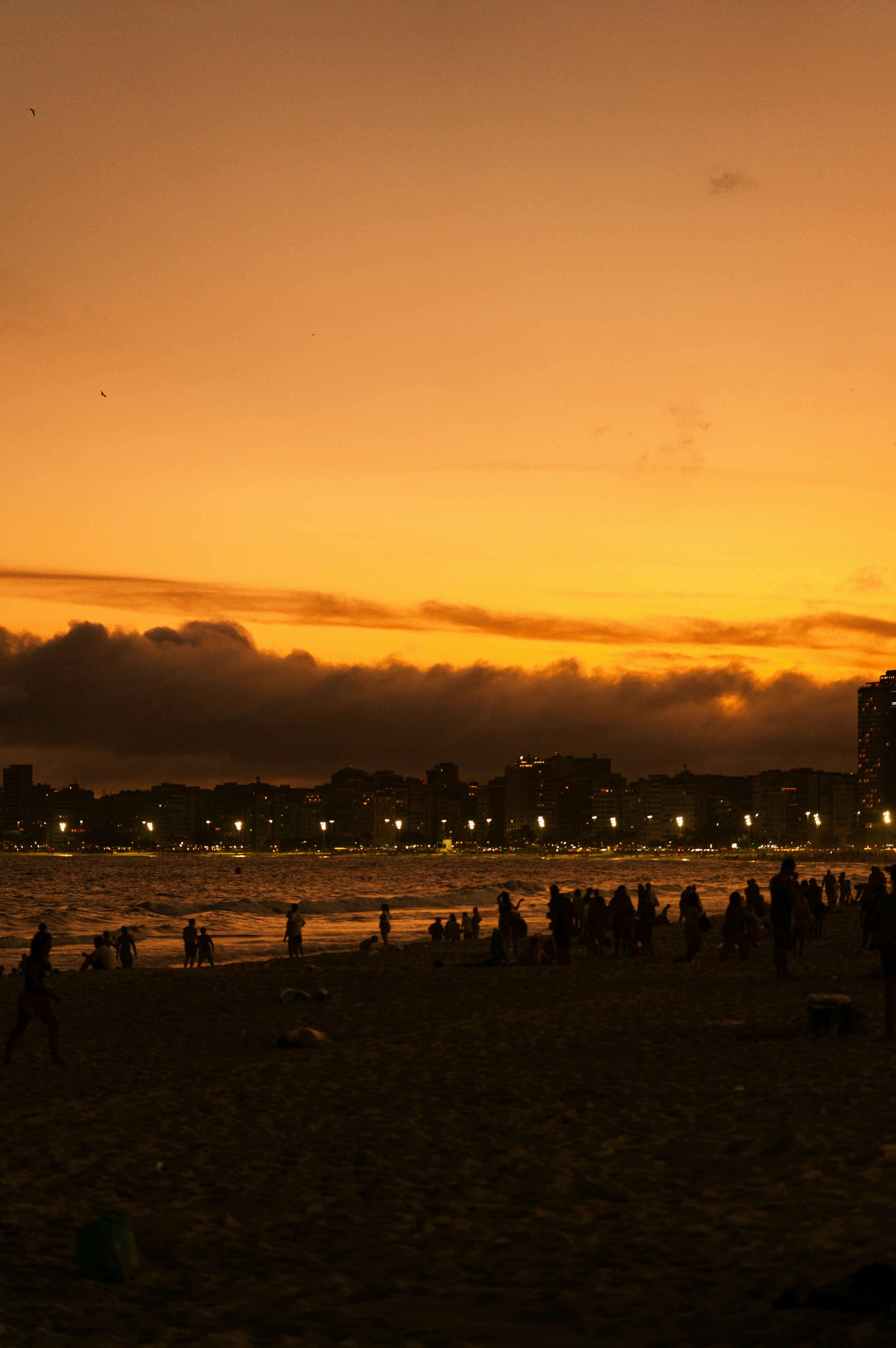 People on beach at city skyline - Free Photo on Unsplash