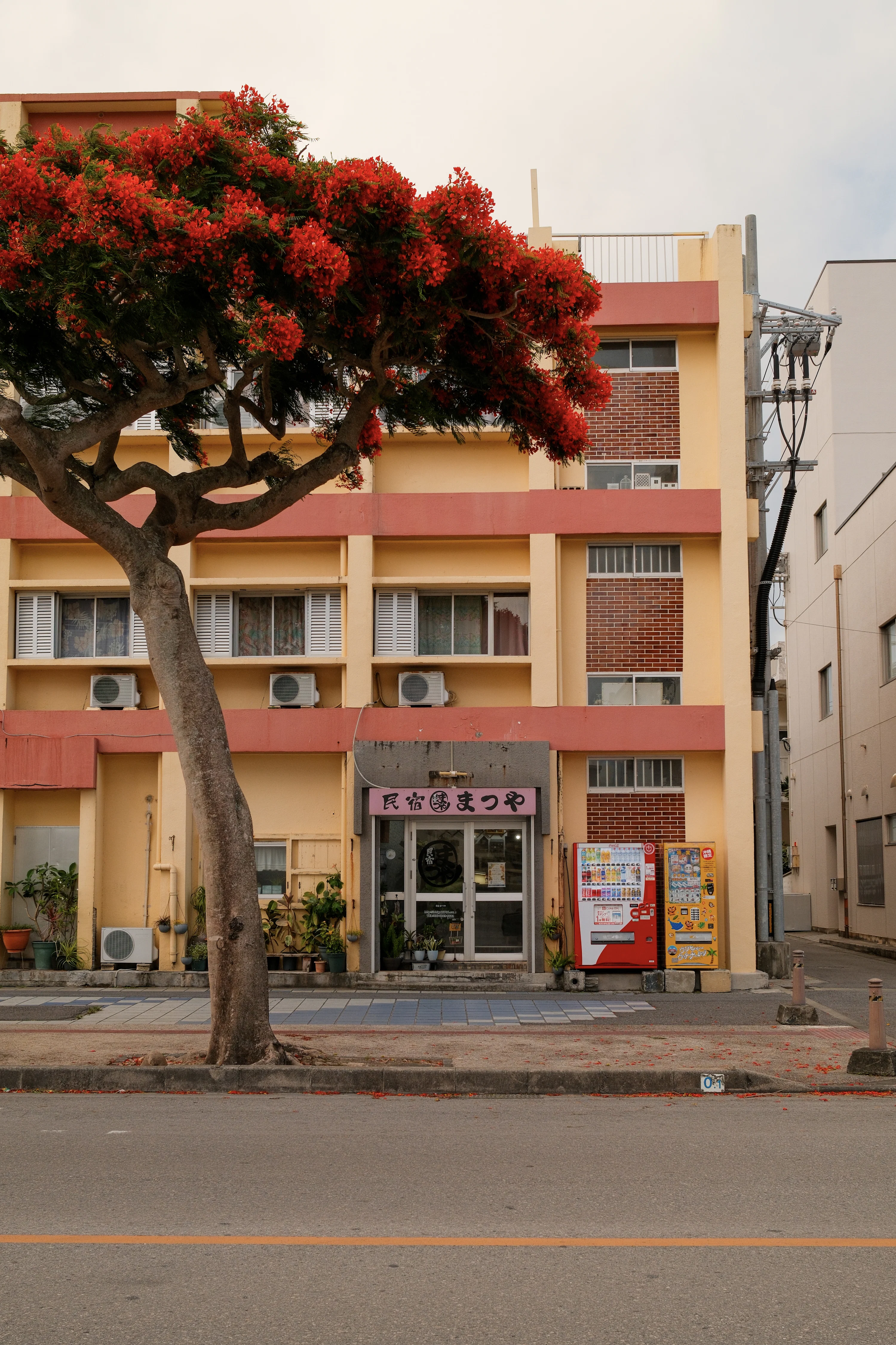 A yellow building with red accents and a flowering tree in Ishigaki, Japan